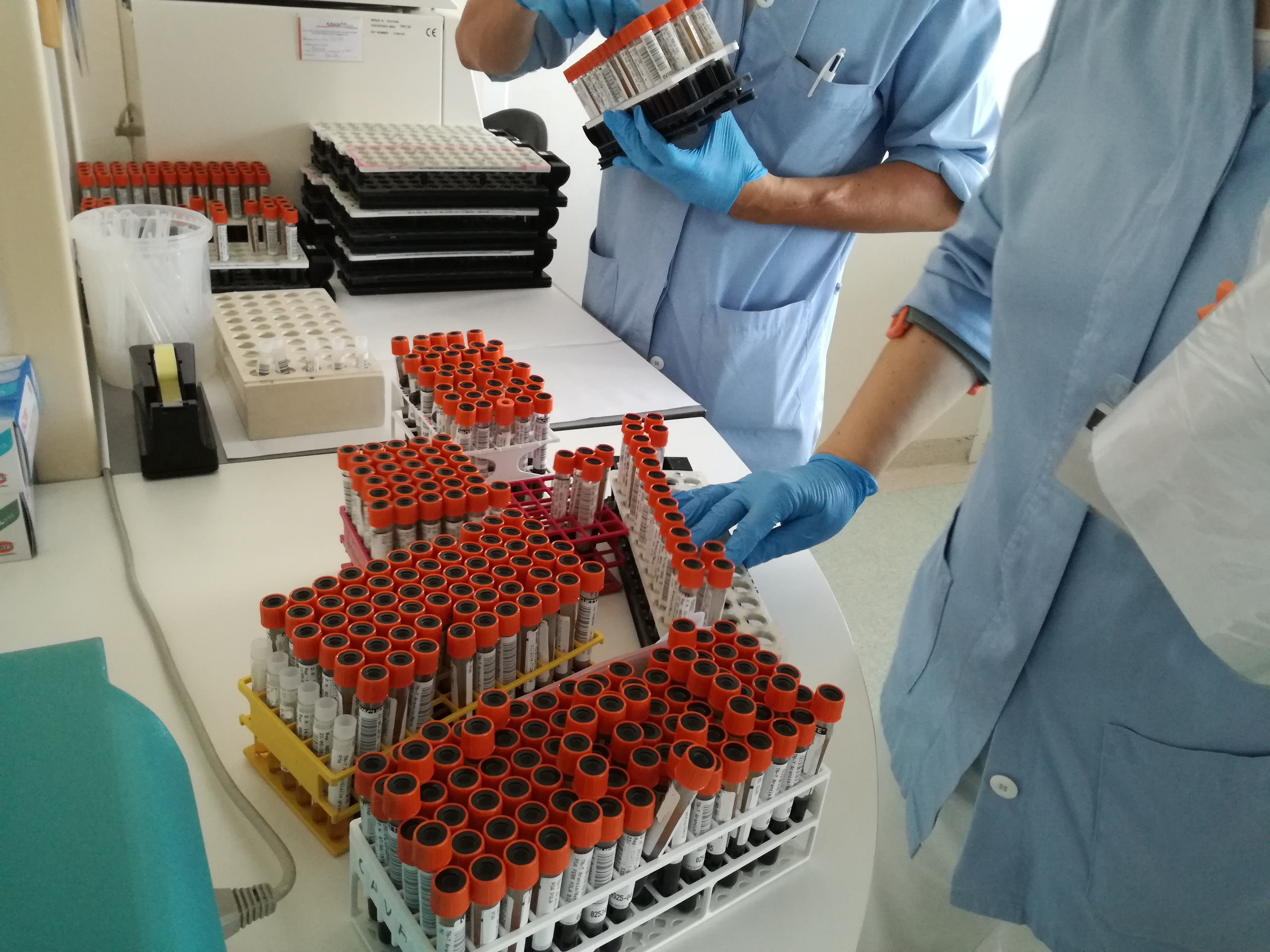 Sanità: approvato il piano biennale per l'autosufficienza del sangue