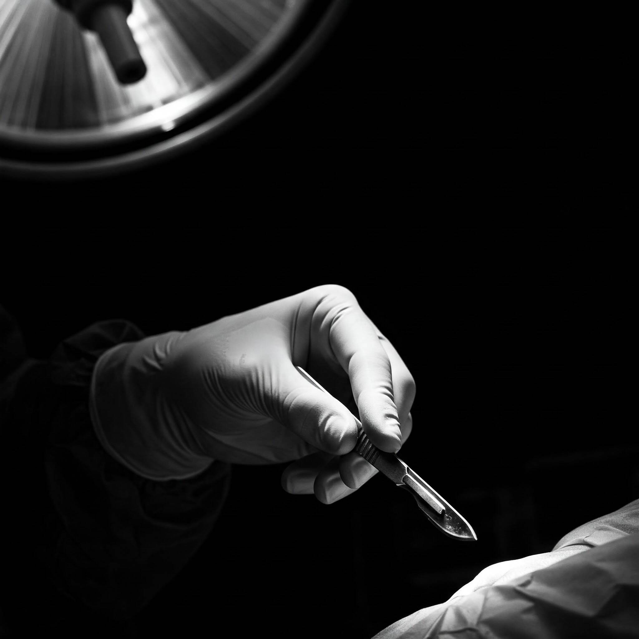 Immagine: immagine per convegno Carrara.jpg 