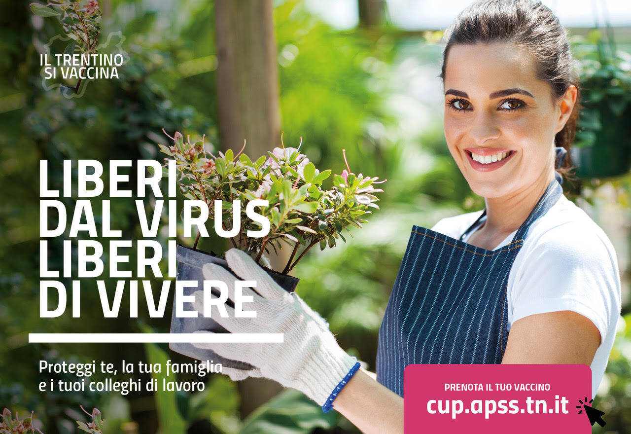 Immagine: unnamed (57).jpg Creative Commons Attributon–ShareAlike 4.0 International (CC BY-SA 4.0)