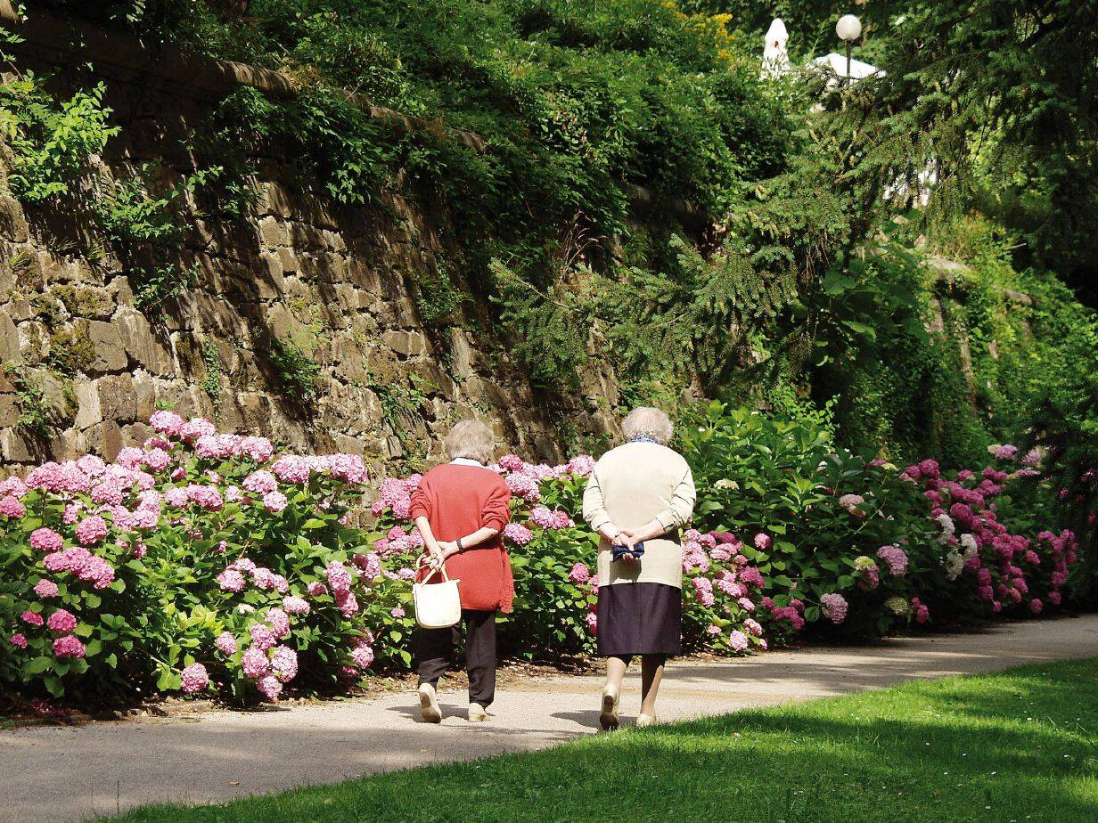 Immagine: anziani.jpg Creative Commons Attributon–ShareAlike 4.0 International (CC BY-SA 4.0)