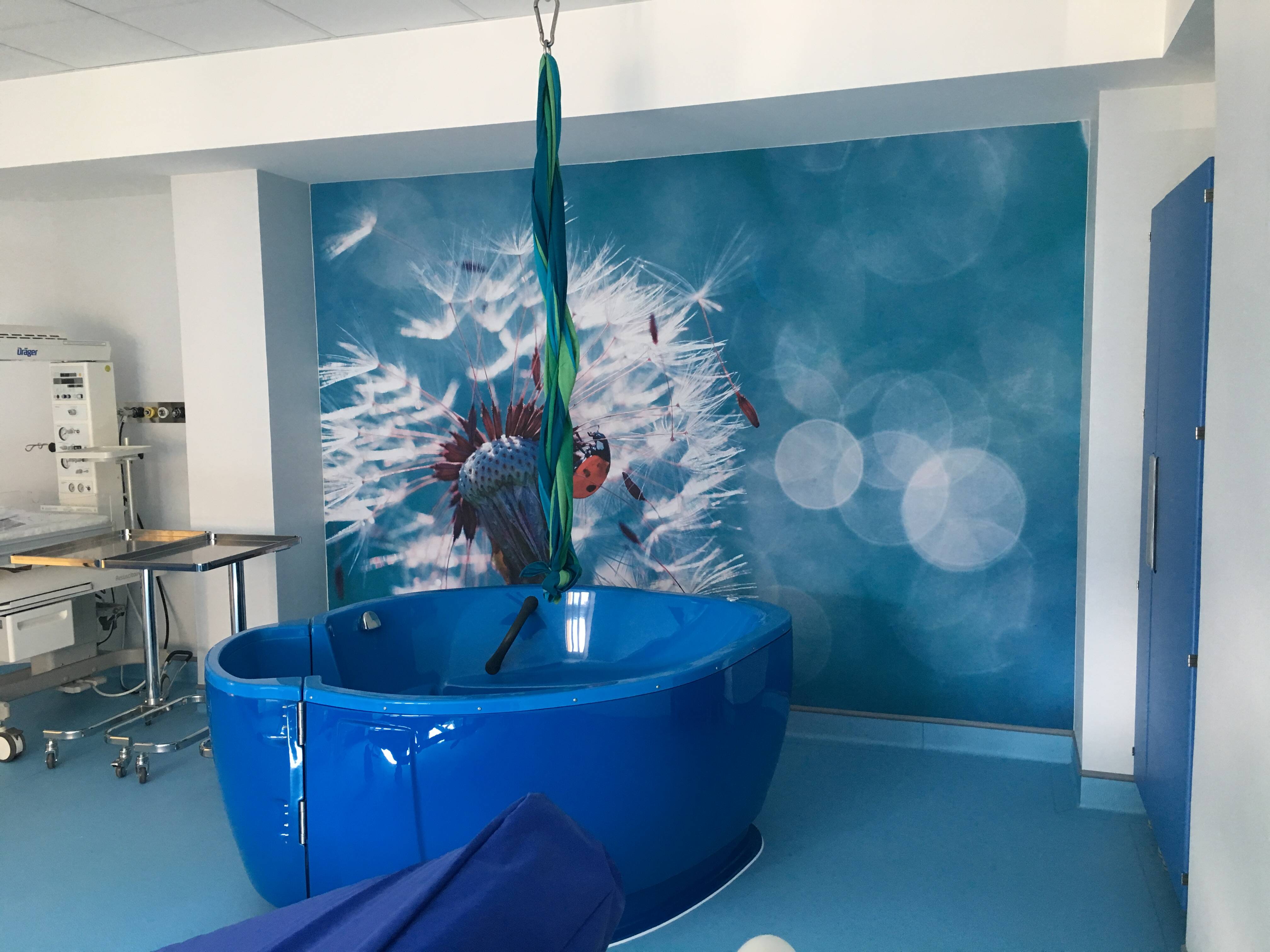 Immagine: blocco parto cavalese (1).JPG Creative Commons Attributon–ShareAlike 4.0 International (CC BY-SA 4.0)