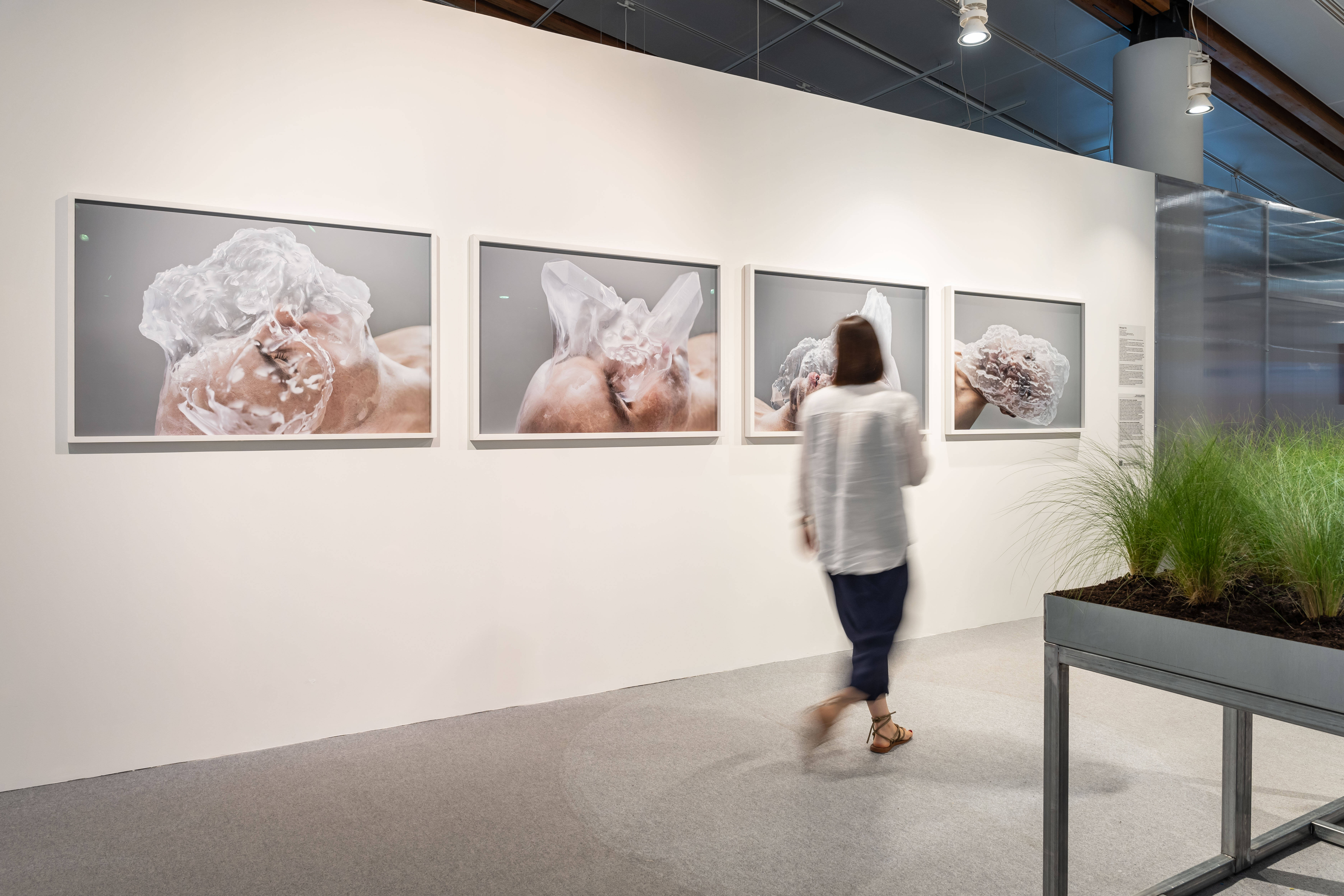 Immagine: Mountain touch-46.jpg Creative Commons Attributon–ShareAlike 4.0 International (CC BY-SA 4.0)