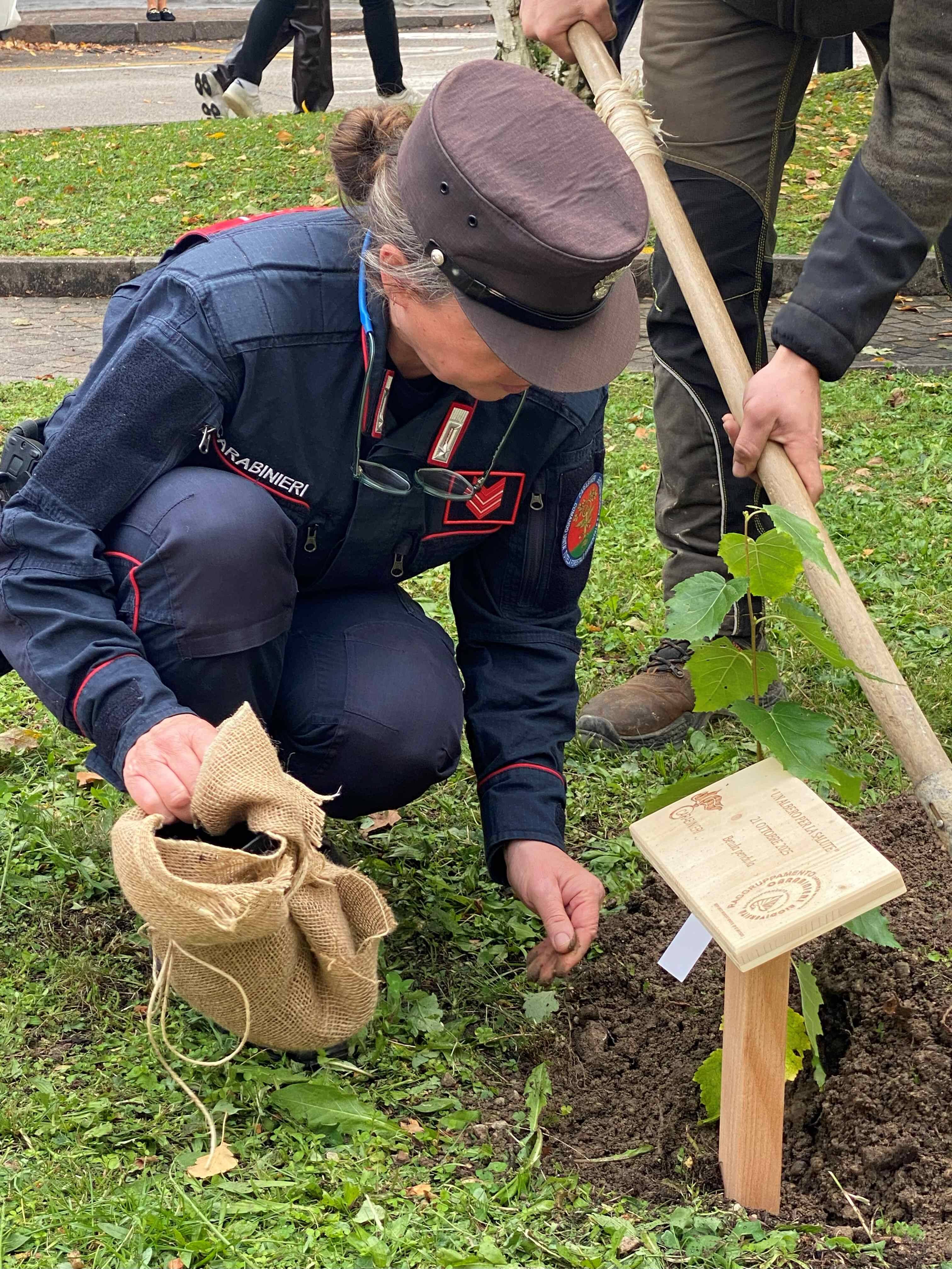 Immagine: Un albero per la salute 2 .jpg Creative Commons Attributon–ShareAlike 4.0 International (CC BY-SA 4.0)