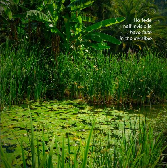 Immagine: L'arte che cura 3.jpg Creative Commons Attributon–ShareAlike 4.0 International (CC BY-SA 4.0)