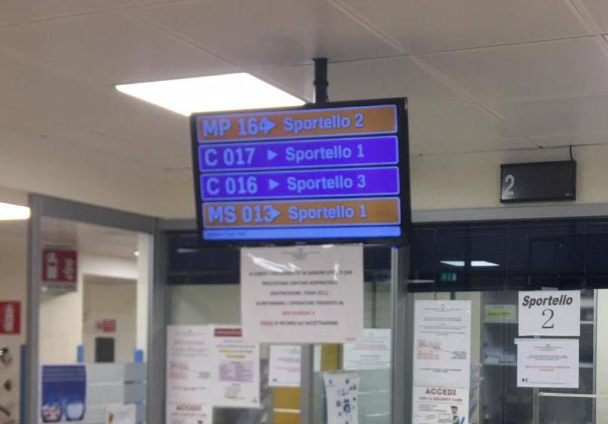 Immagine: ph Apss.jpeg Creative Commons Attributon–ShareAlike 4.0 International (CC BY-SA 4.0)