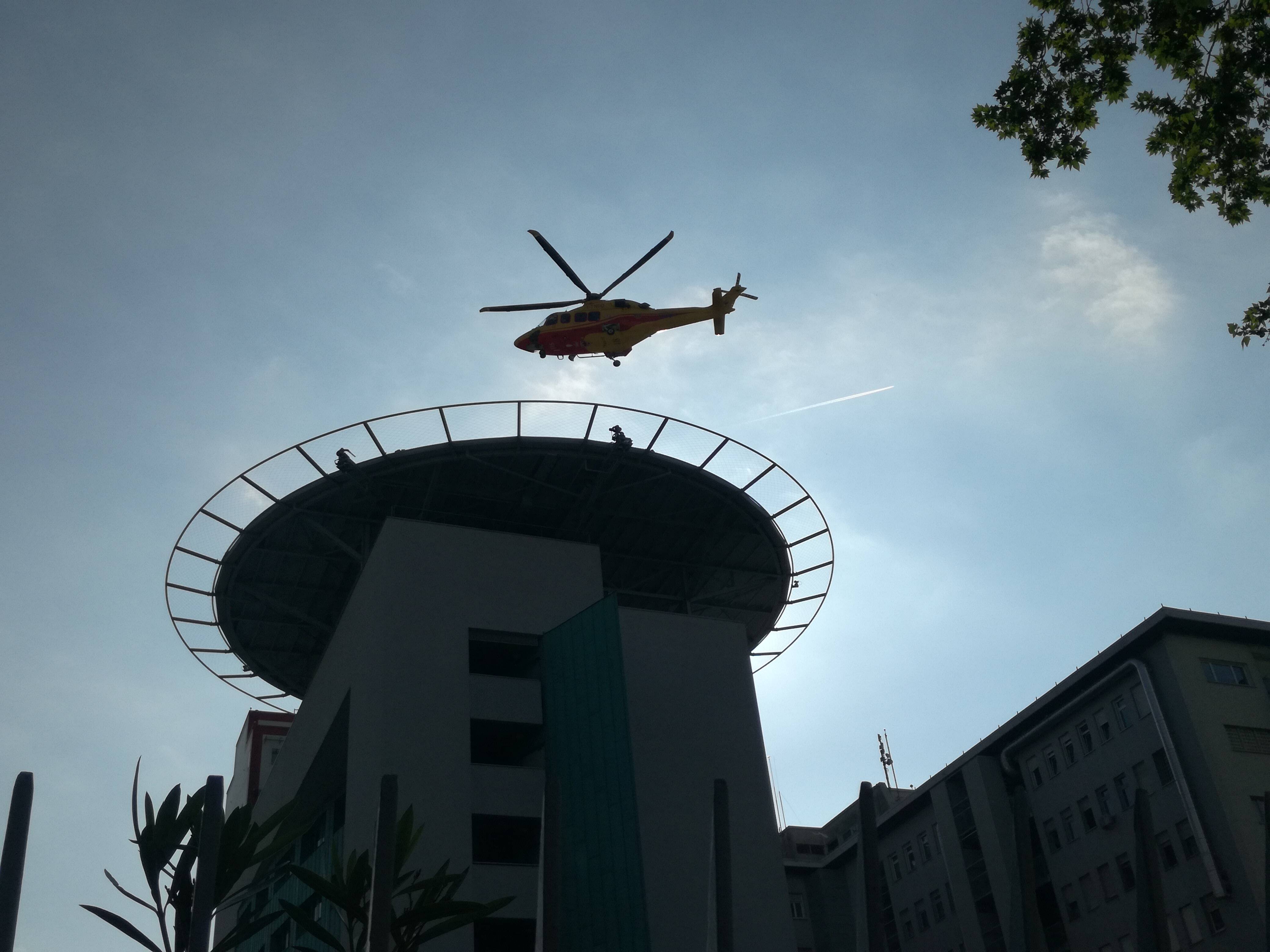 Immagine: IMG_20180513_084114.jpg Creative Commons Attributon–ShareAlike 4.0 International (CC BY-SA 4.0)