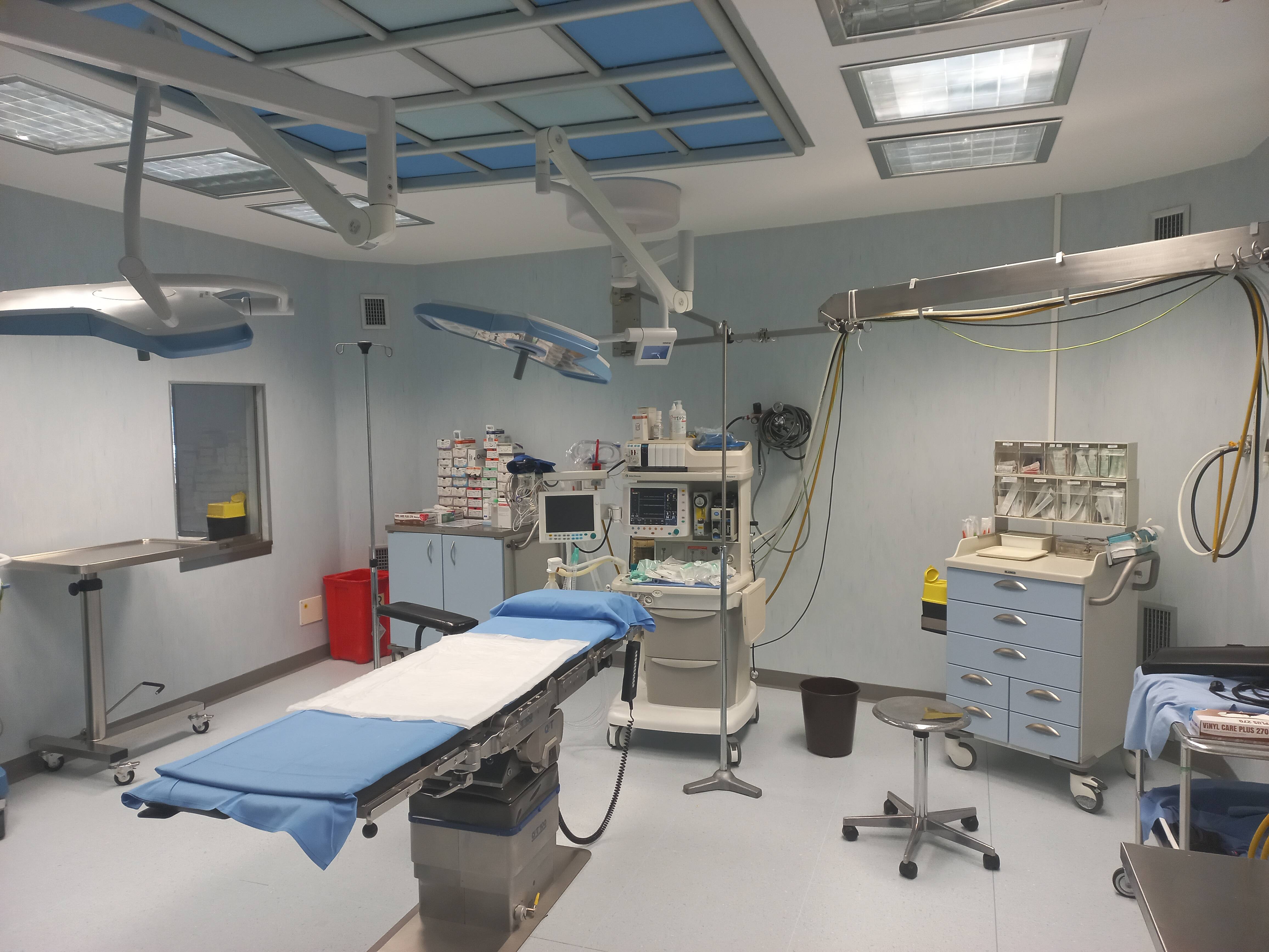 Immagine: 20230120_132039.jpg Creative Commons Attributon–ShareAlike 4.0 International (CC BY-SA 4.0)