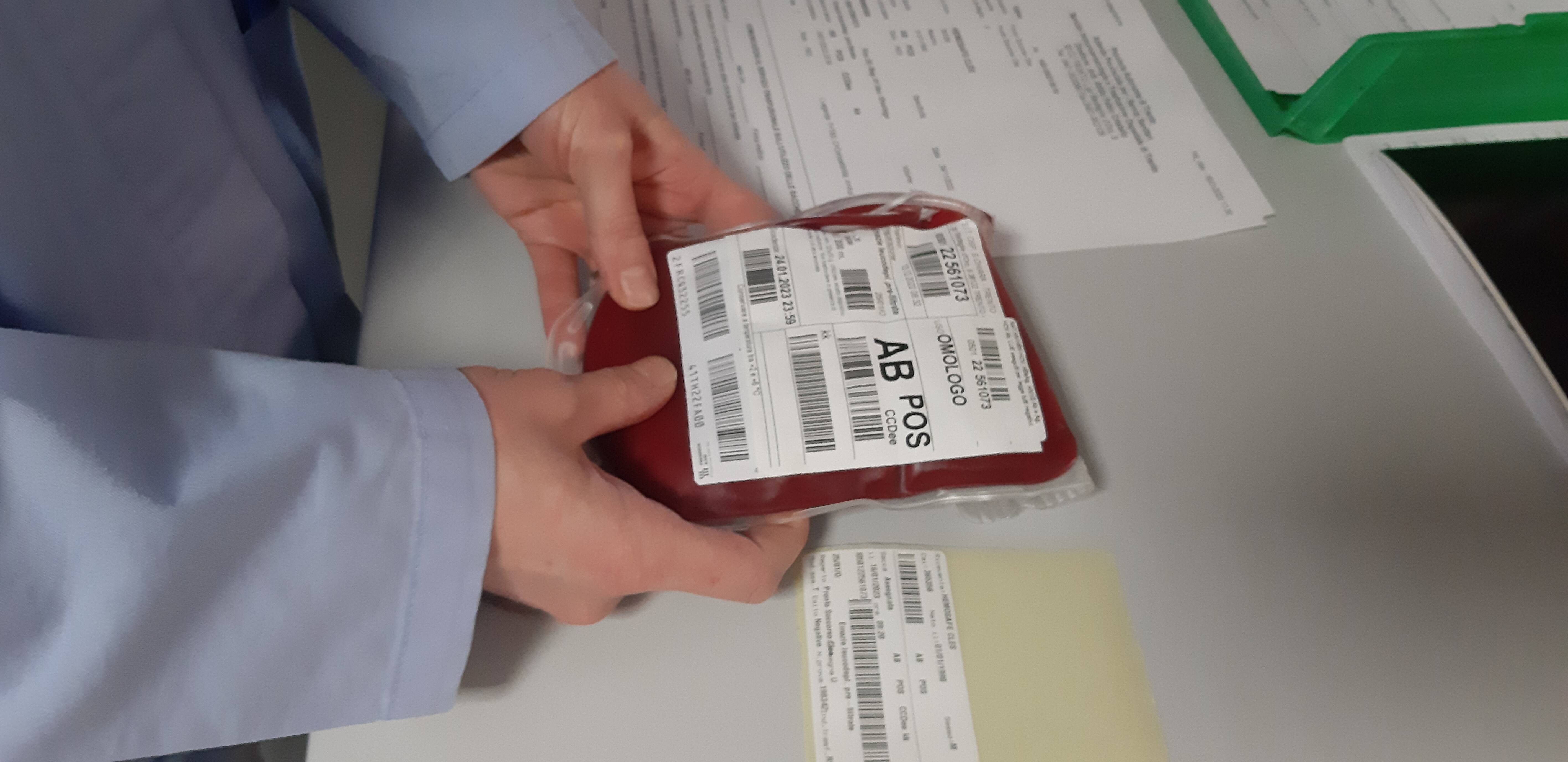 Immagine: 20230116_113133.jpg Creative Commons Attributon–ShareAlike 4.0 International (CC BY-SA 4.0)