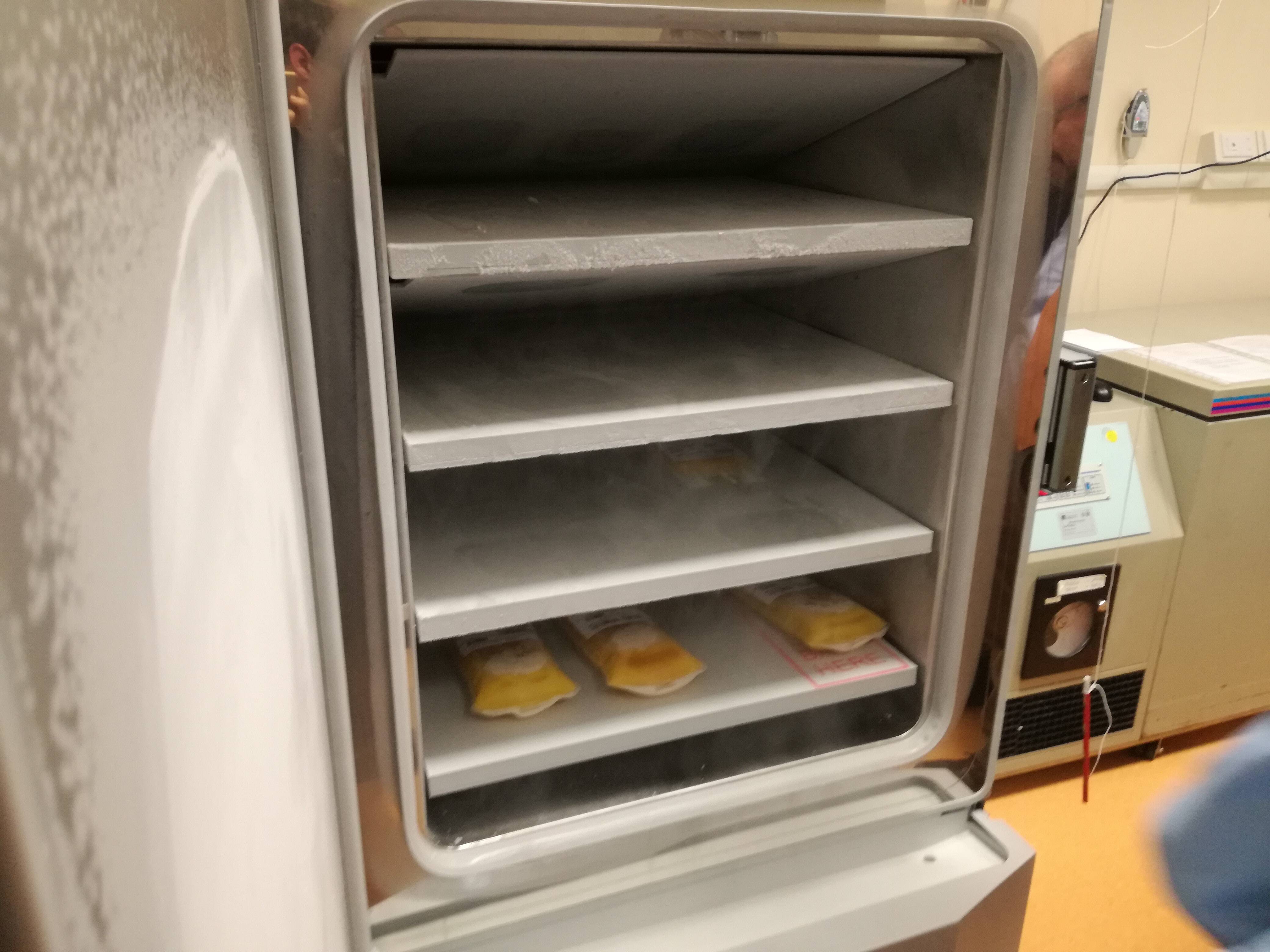 Immagine: IMG_20170309_113026_2.jpg Creative Commons Attributon–ShareAlike 4.0 International (CC BY-SA 4.0)