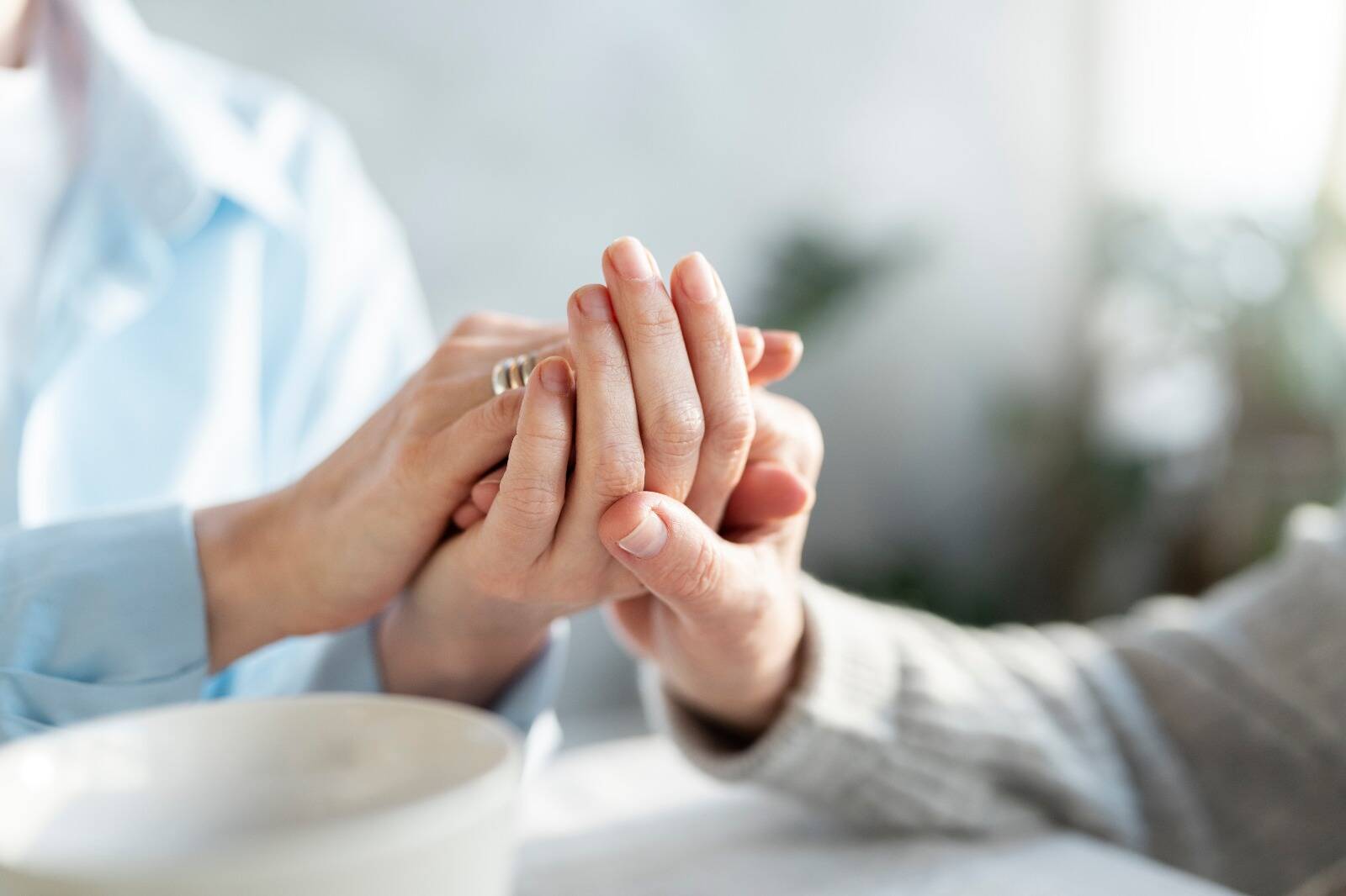 Immagine: WhatsApp Image 2022-12-15 at 16.20.53 (1).jpeg Creative Commons Attributon–ShareAlike 4.0 International (CC BY-SA 4.0)