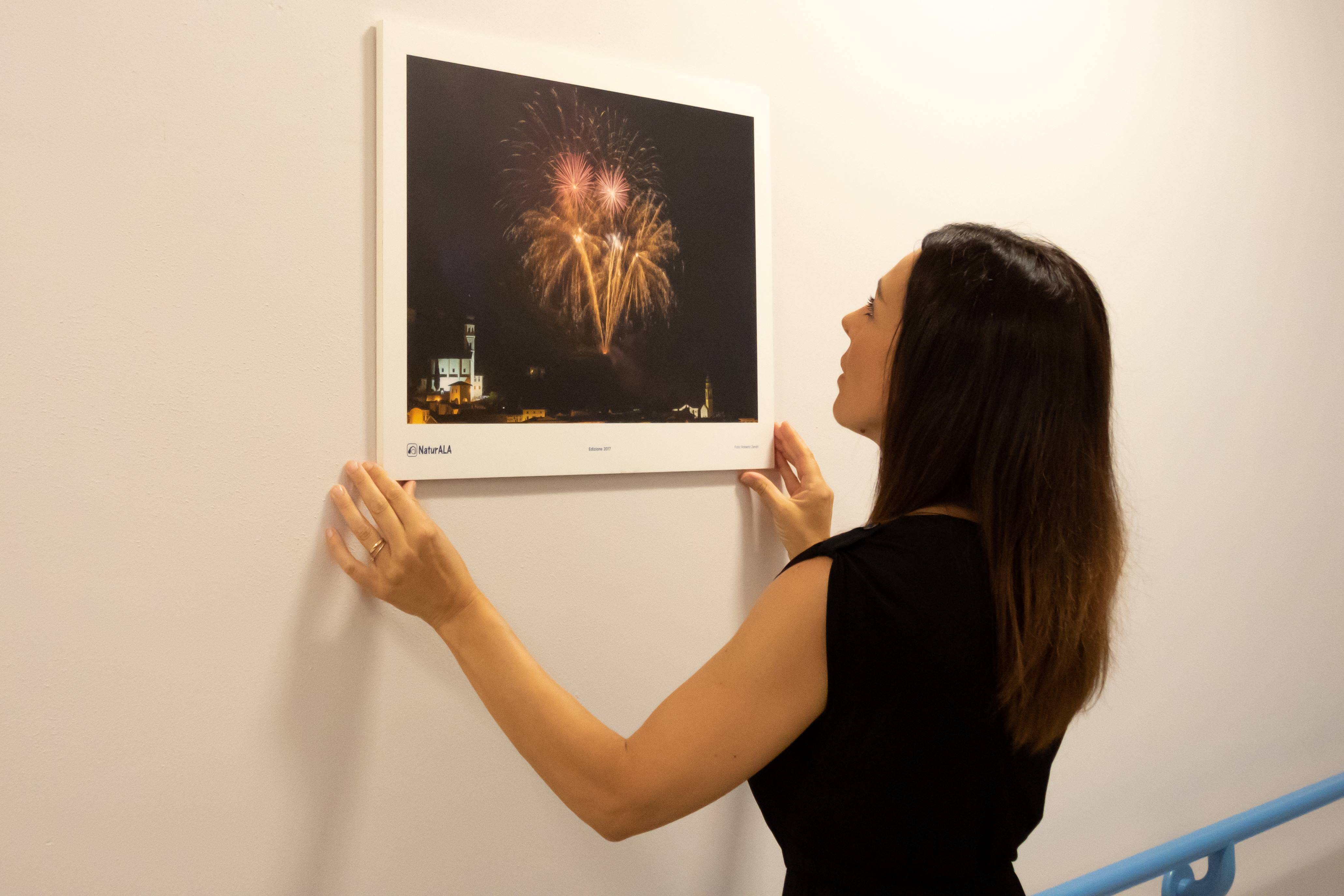 Immagine: Consegna pannelli Ala 2.jpg Creative Commons Attributon–ShareAlike 4.0 International (CC BY-SA 4.0)