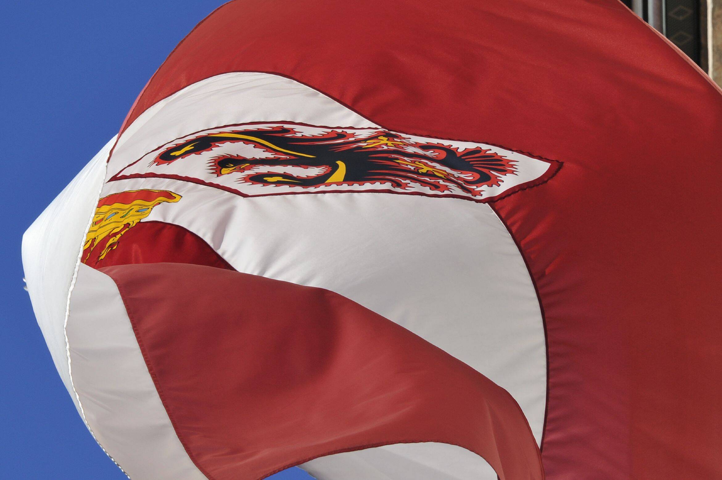 Immagine: AgFB031212_014A (4).jpg Creative Commons Attributon–ShareAlike 4.0 International (CC BY-SA 4.0)