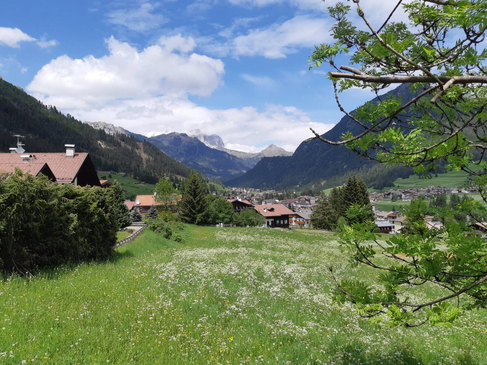 Immagine: WhatsApp Image 2021-06-15 at 14.01.00.jpeg Creative Commons Attributon–ShareAlike 4.0 International (CC BY-SA 4.0)