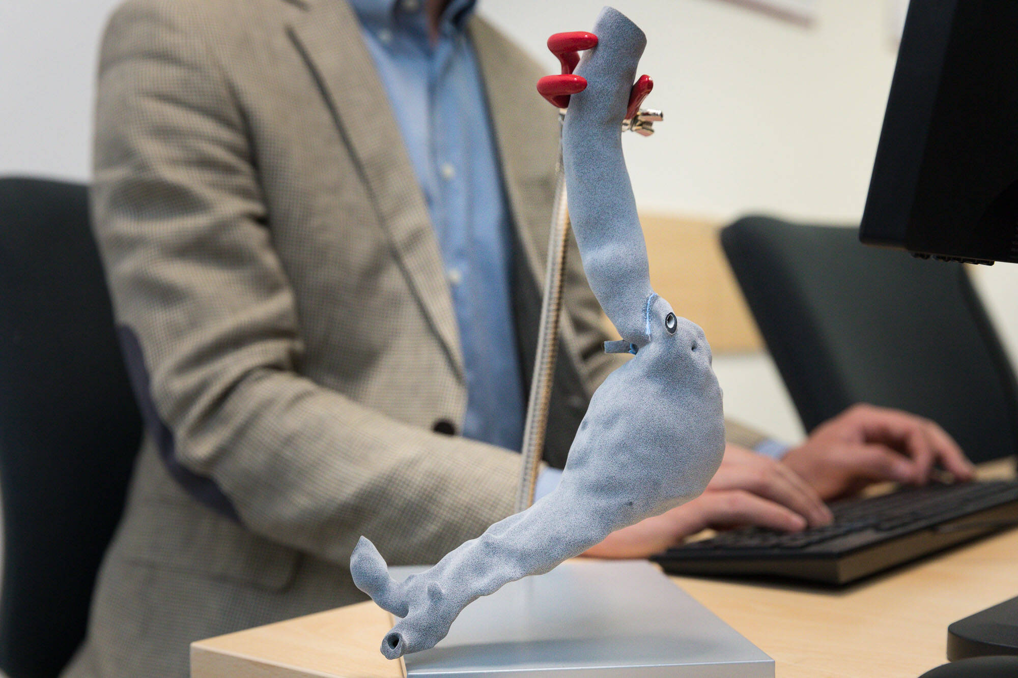 Immagine: Il modello di aorta.jpg Creative Commons Attributon–ShareAlike 4.0 International (CC BY-SA 4.0)