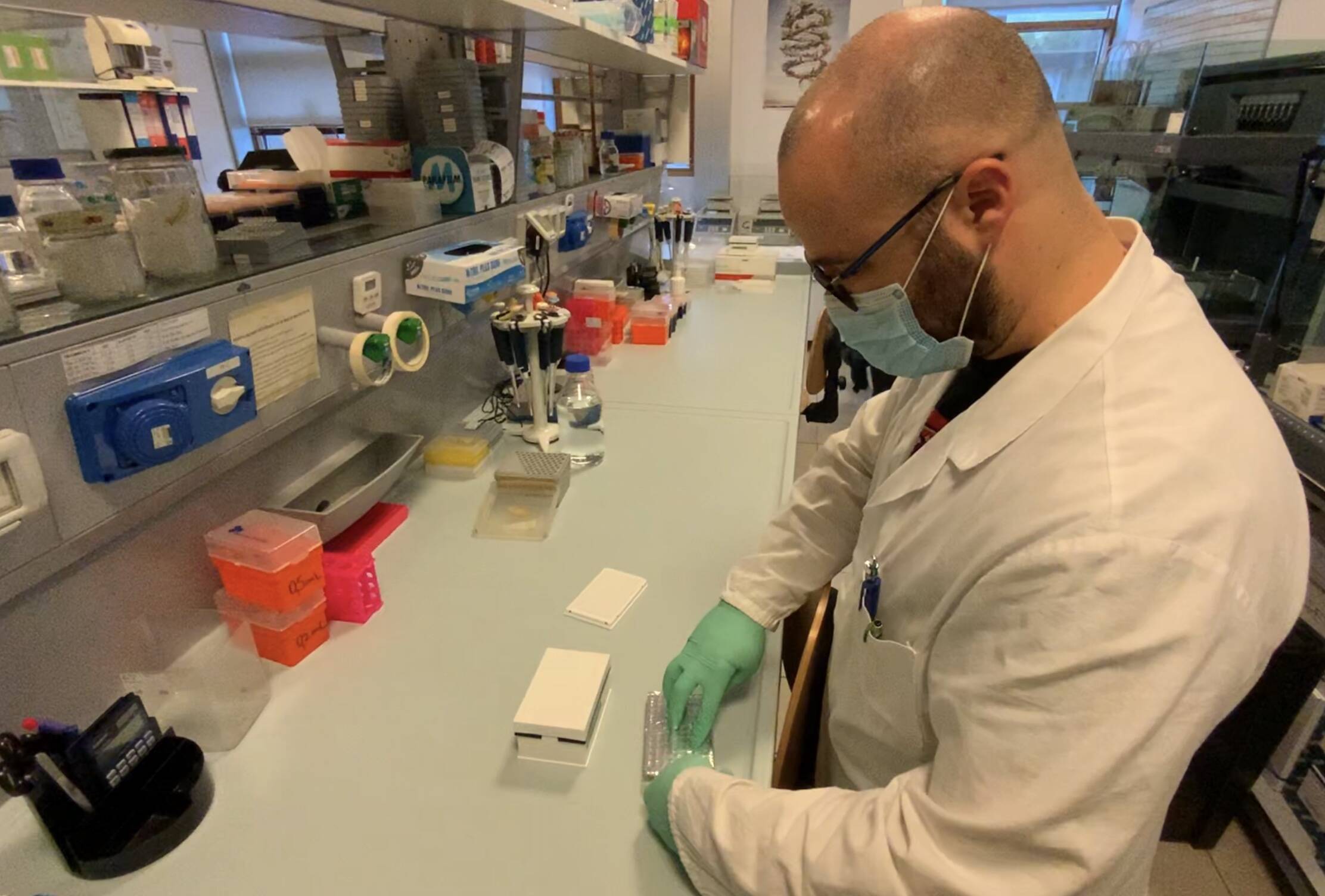 Immagine: 07587FA0-A76F-4A75-9D90-069BF1B0F759.jpeg Creative Commons Attributon–ShareAlike 4.0 International (CC BY-SA 4.0)