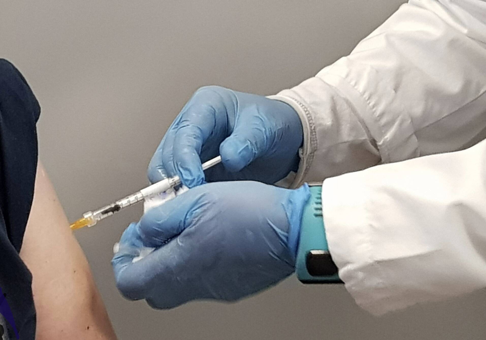 Immagine: FBBA267C-9618-451B-BF11-08B7CE54ACDD.jpeg Creative Commons Attributon–ShareAlike 4.0 International (CC BY-SA 4.0)