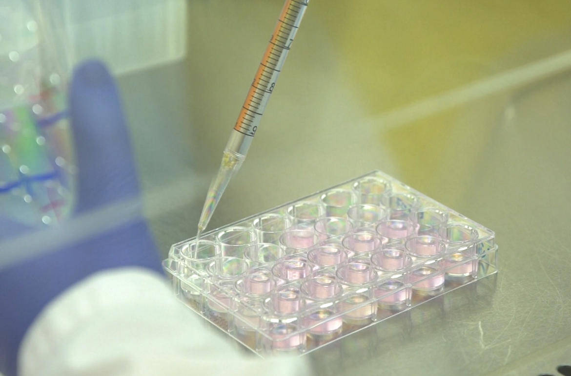 Immagine: 848FD3C9-DBB9-4A9A-910F-F402E9544681_imagefullwide (1).jpg Creative Commons Attributon–ShareAlike 4.0 International (CC BY-SA 4.0)