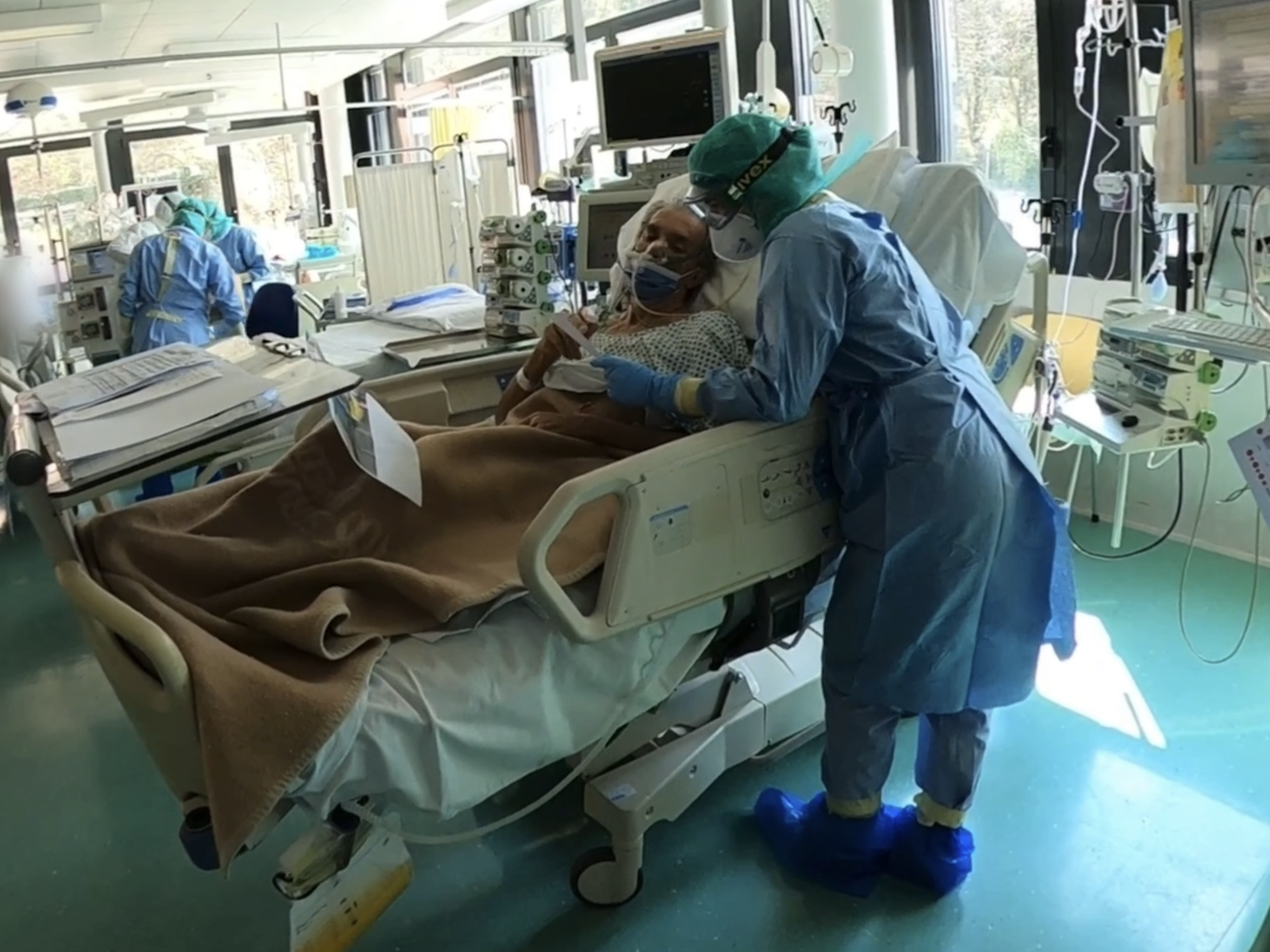 Immagine: IMG_1816.PNG Creative Commons Attributon–ShareAlike 4.0 International (CC BY-SA 4.0)