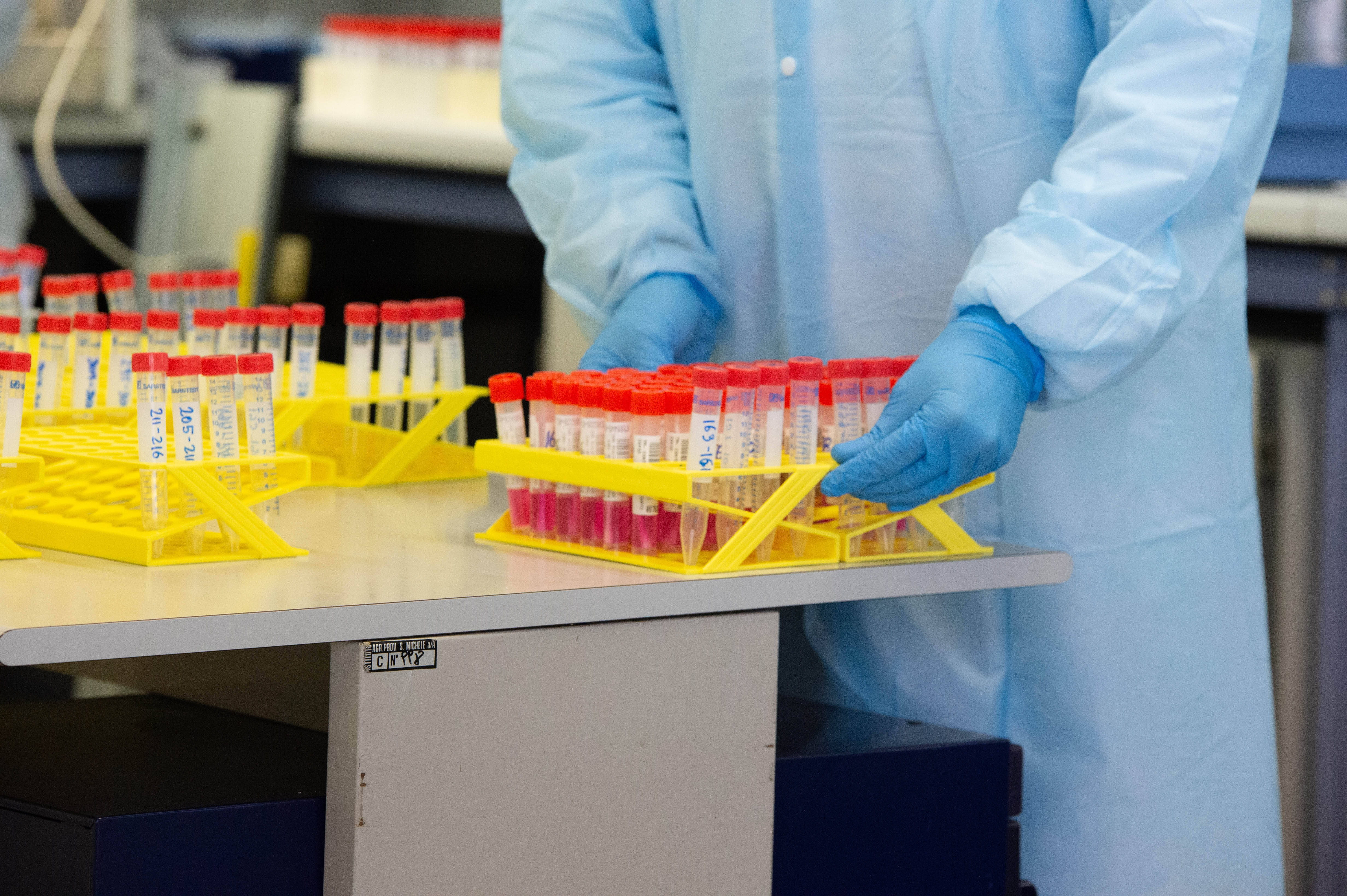 Immagine: 15 (1).JPG Creative Commons Attributon–ShareAlike 4.0 International (CC BY-SA 4.0)