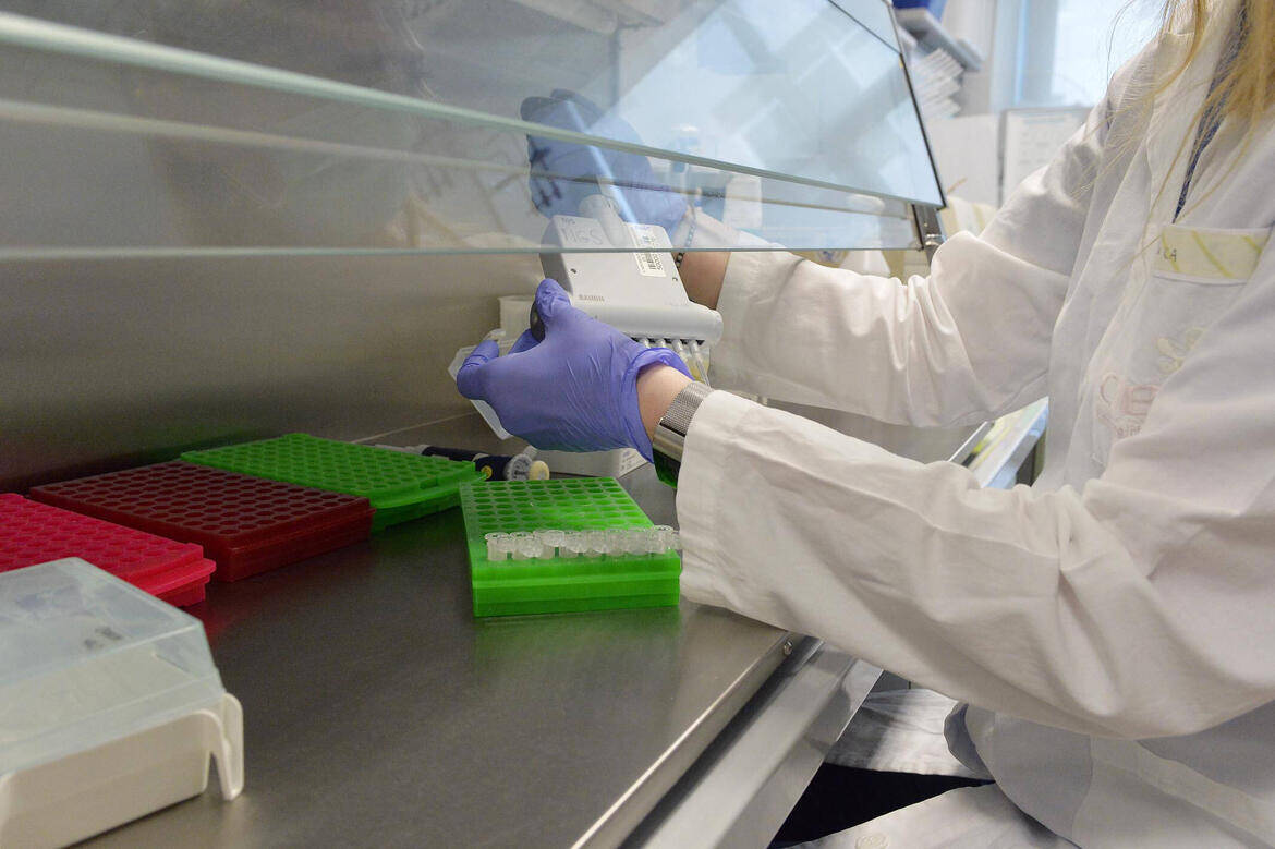 Immagine: Ph-Alessio-Coser_ALE2891_reference.jpg Creative Commons Attributon–ShareAlike 4.0 International (CC BY-SA 4.0)