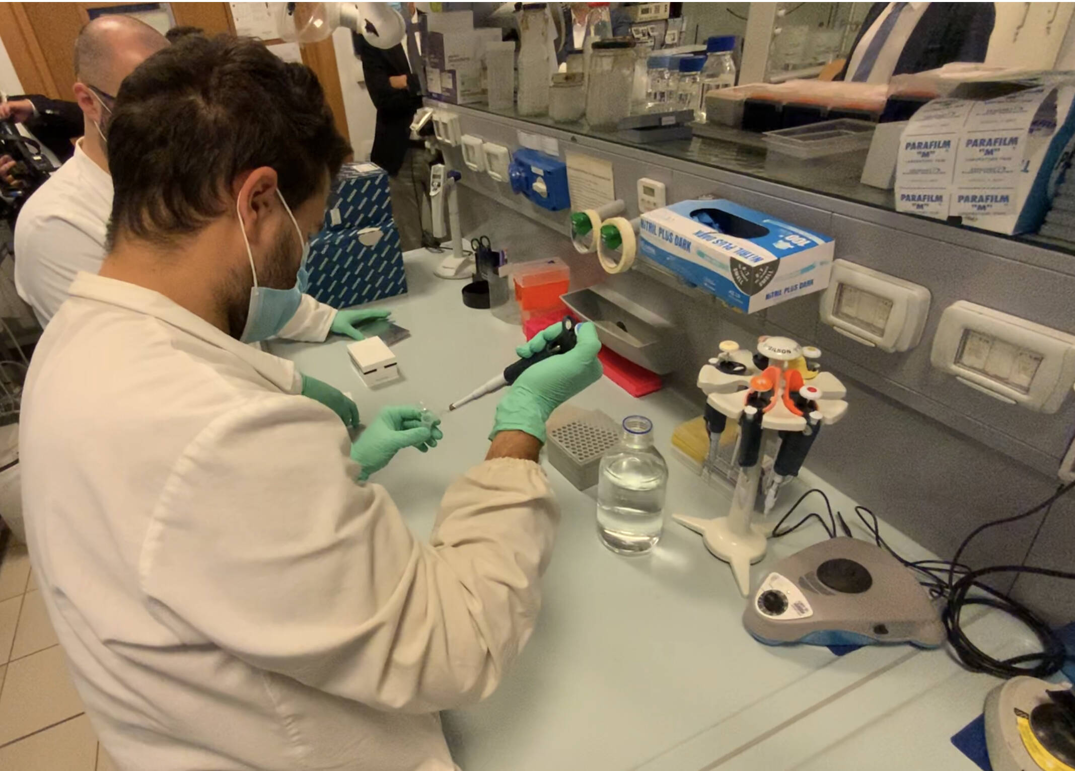 Immagine: 5072FA66-5C12-46A0-A6BD-8D5B42126AD3.jpeg Creative Commons Attributon–ShareAlike 4.0 International (CC BY-SA 4.0)