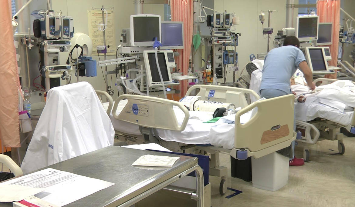 Immagine: 9 (1).jpg Creative Commons Attributon–ShareAlike 4.0 International (CC BY-SA 4.0)