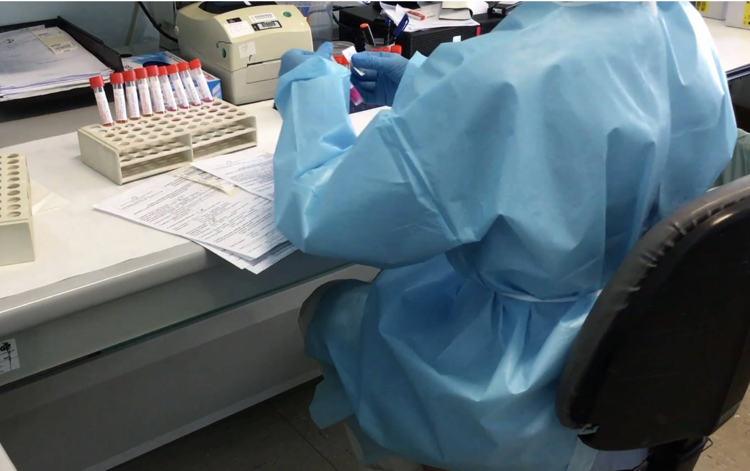 Immagine: 03414A85-E06D-411B-BD98-2D4968E6A9A1.jpeg Creative Commons Attributon–ShareAlike 4.0 International (CC BY-SA 4.0)