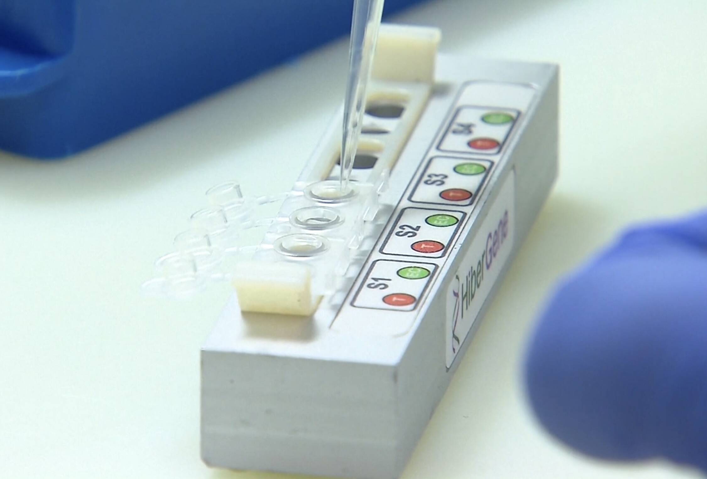 Immagine: B57EE073-0A05-45D8-9CD9-715DC65885B1.jpeg Creative Commons Attributon–ShareAlike 4.0 International (CC BY-SA 4.0)