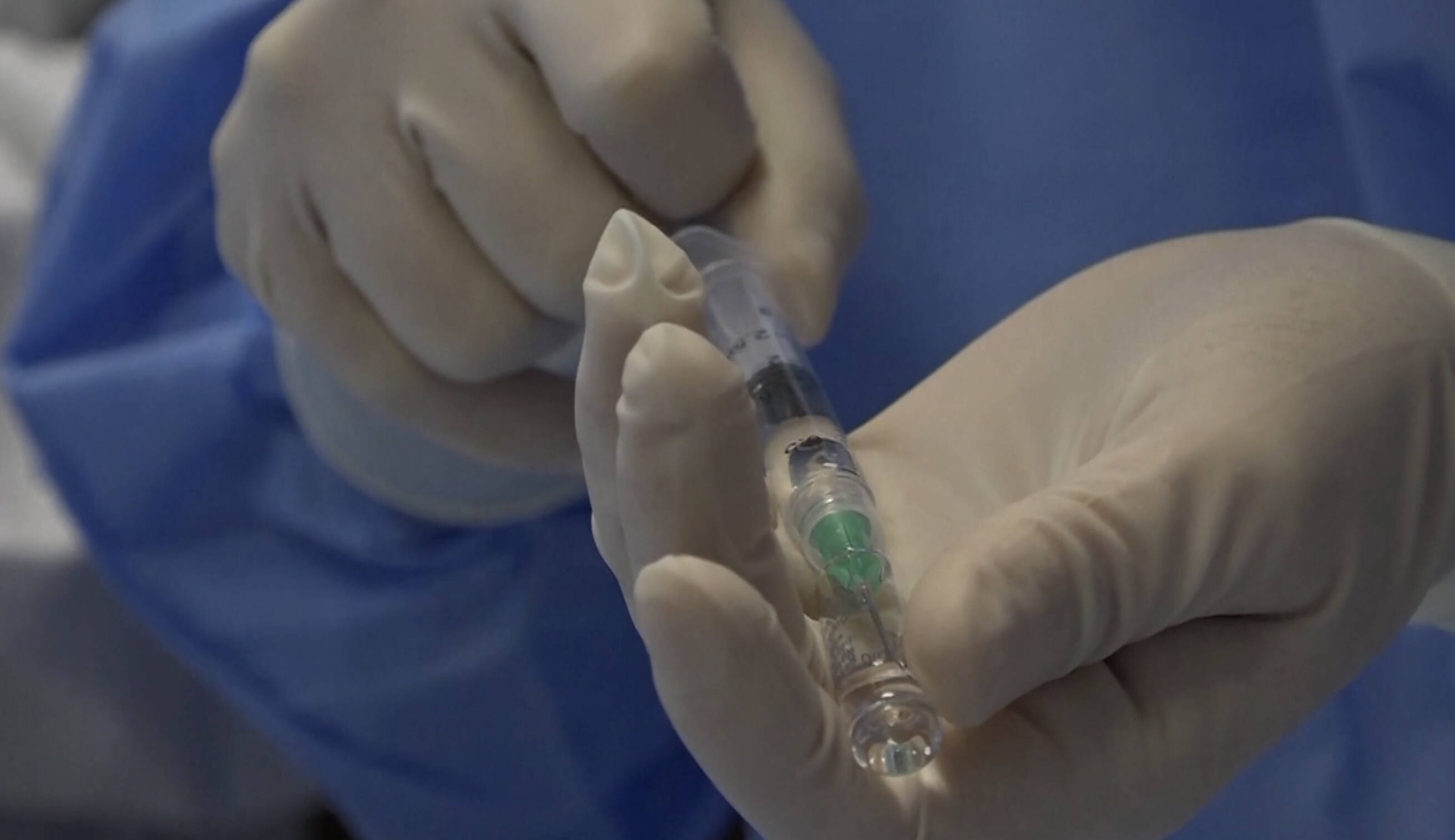 Immagine: A6D05711-1BF6-4124-9D66-E331AB666694.jpeg Creative Commons Attributon–ShareAlike 4.0 International (CC BY-SA 4.0)