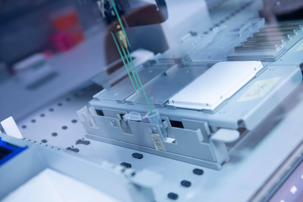 Immagine: 6 (14).jpg Creative Commons Attributon–ShareAlike 4.0 International (CC BY-SA 4.0)