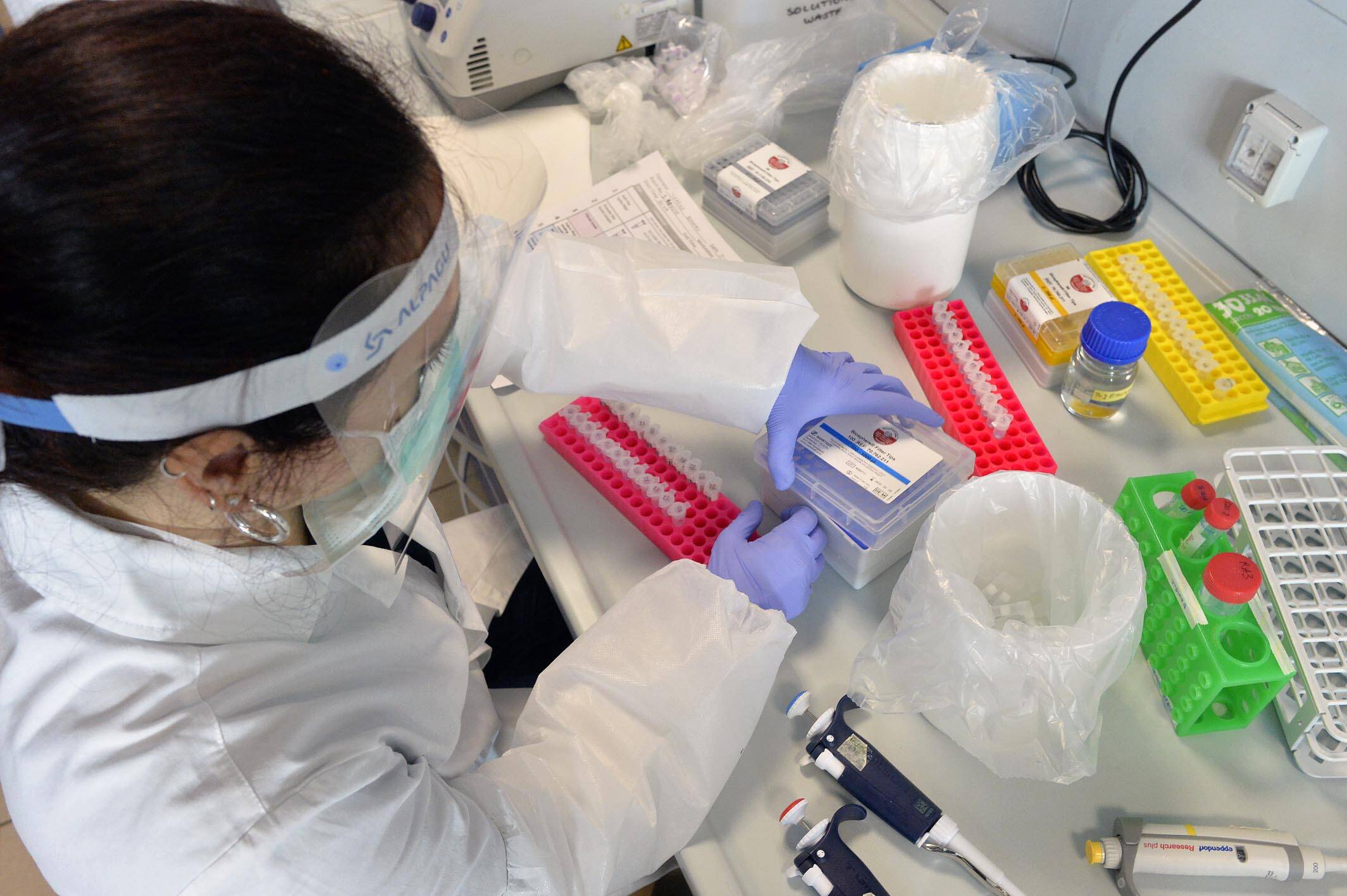 Immagine: _ALE2827.jpg Creative Commons Attributon–ShareAlike 4.0 International (CC BY-SA 4.0)