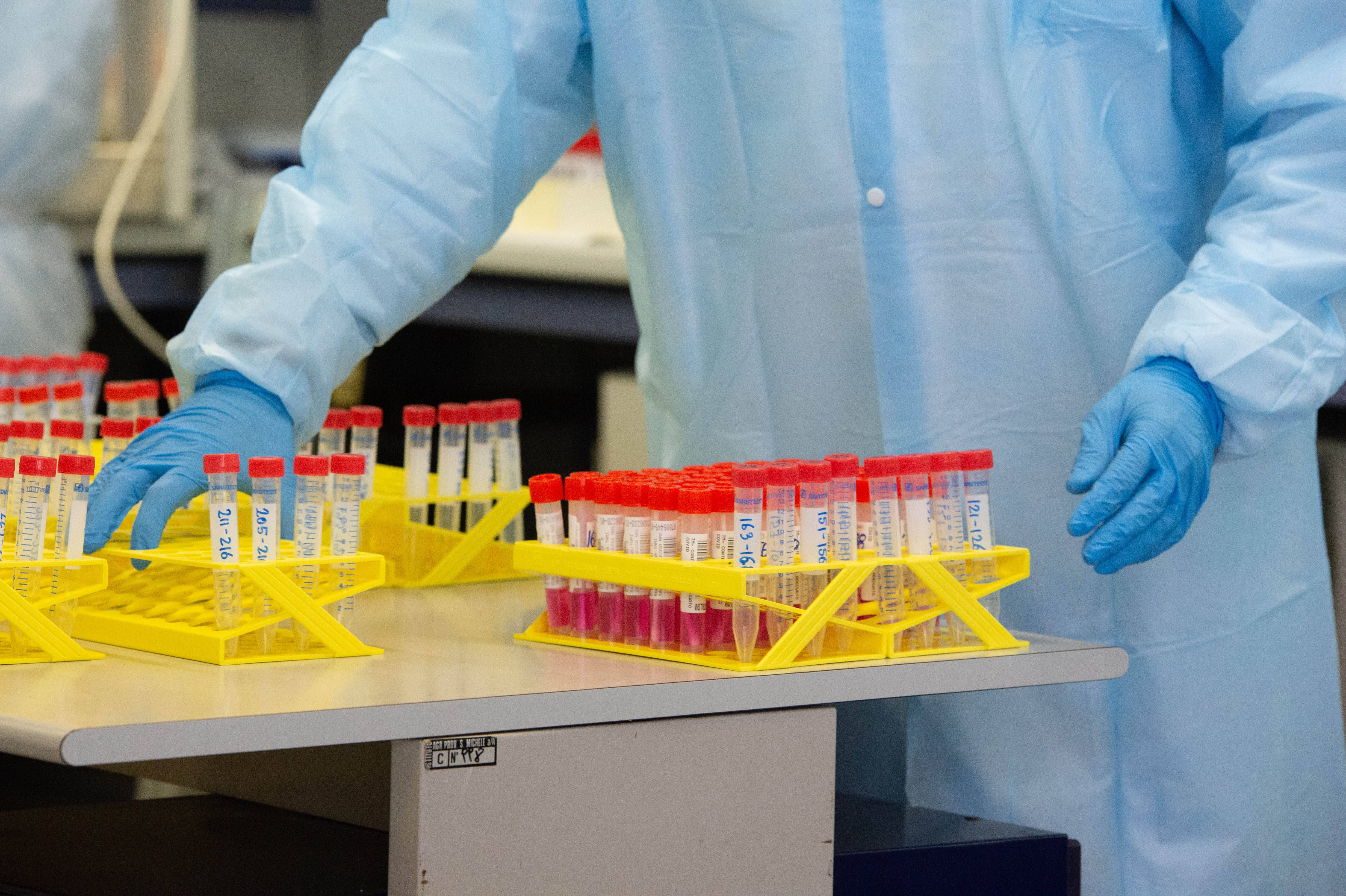 Immagine: 16.JPG Creative Commons Attributon–ShareAlike 4.0 International (CC BY-SA 4.0)