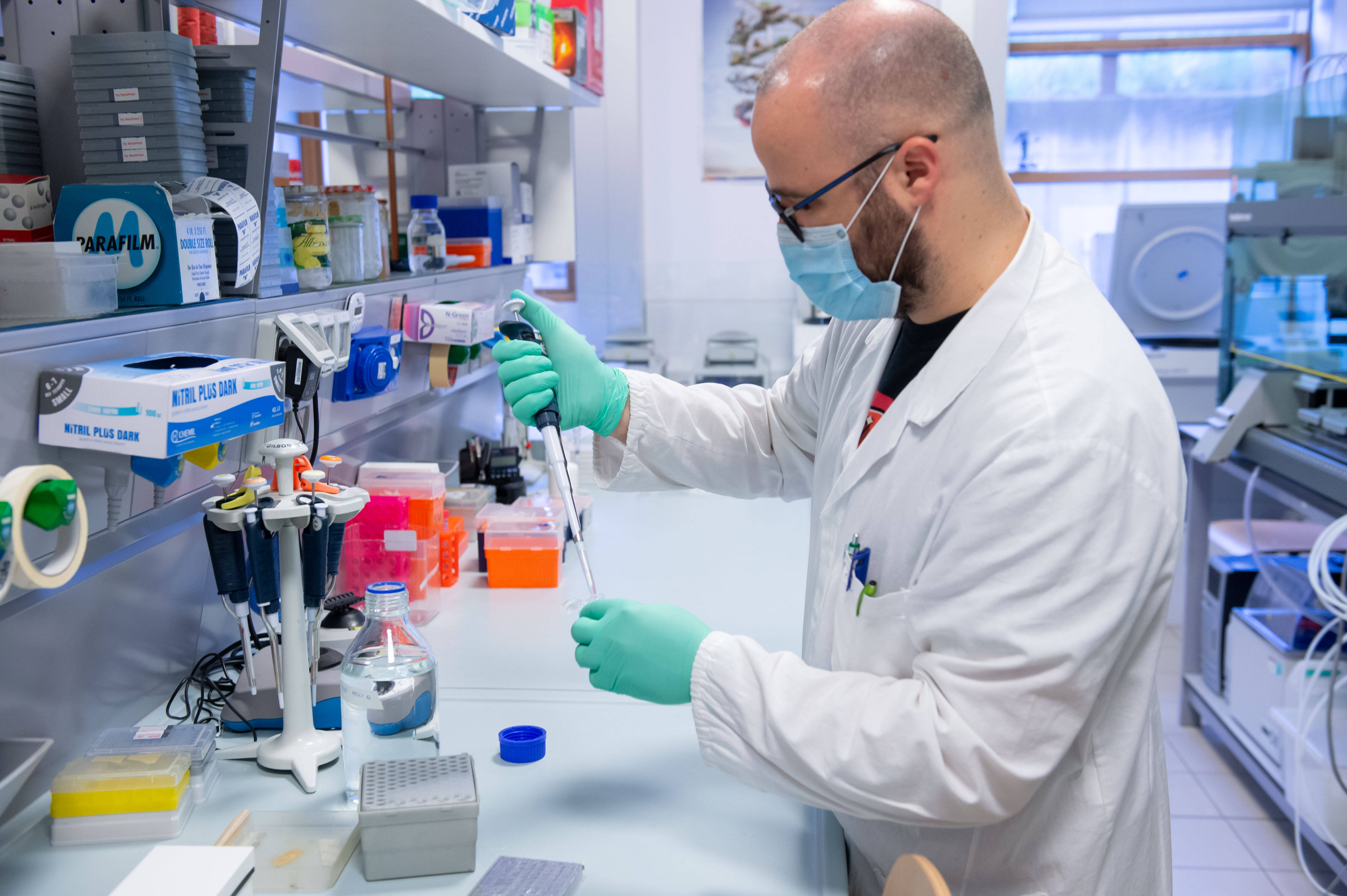 Immagine: 9743DE8A-D316-421D-978D-B049314EBFB4.jpeg Licenza sconosciuta