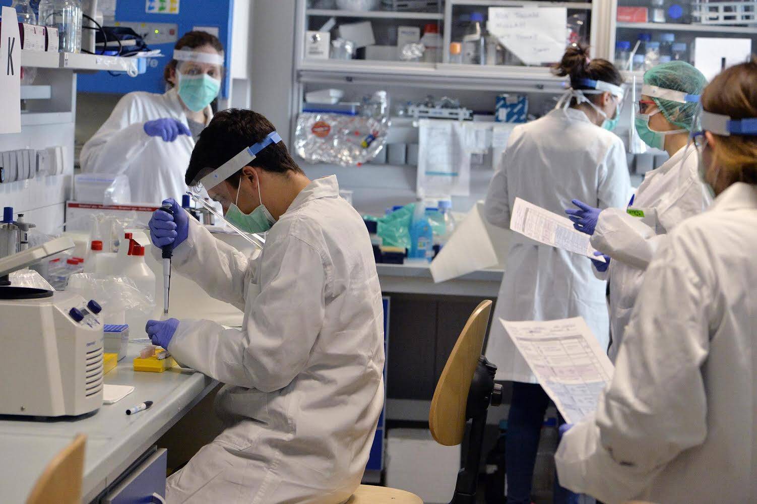 Immagine: F8DF8C79-1D05-4871-B60A-5D602030C040.jpeg Licenza sconosciuta