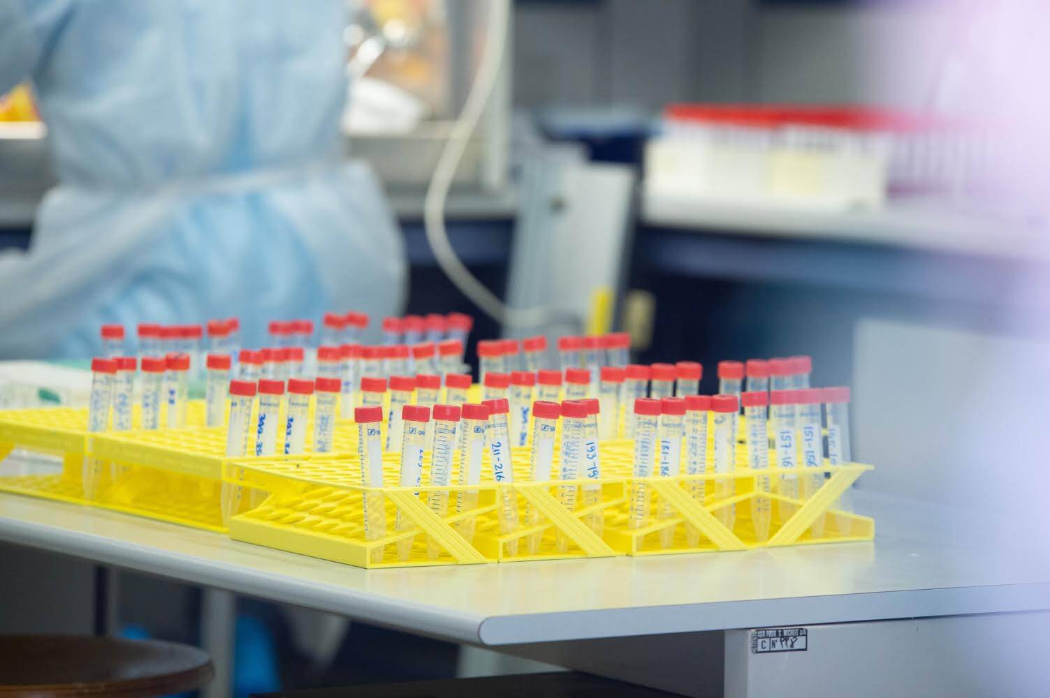 Immagine: A9BAAE1B-1159-4E28-95FD-41430F62A21D.jpeg Licenza sconosciuta