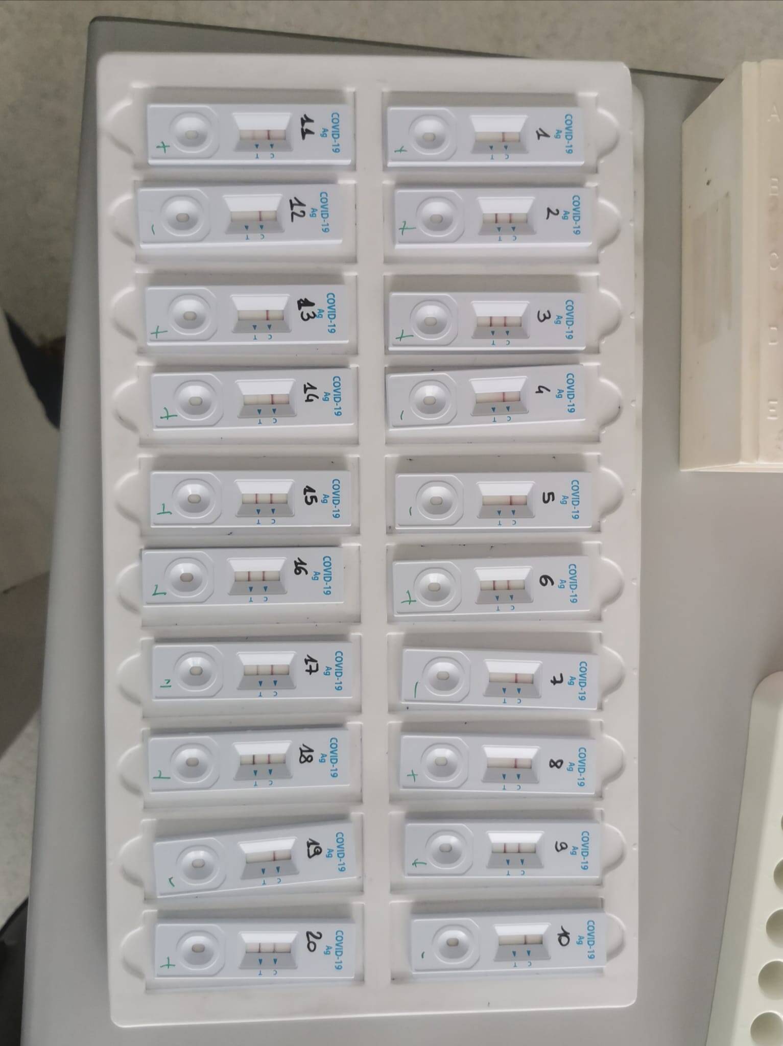 Immagine: tamponi rapidi 2.jpg 