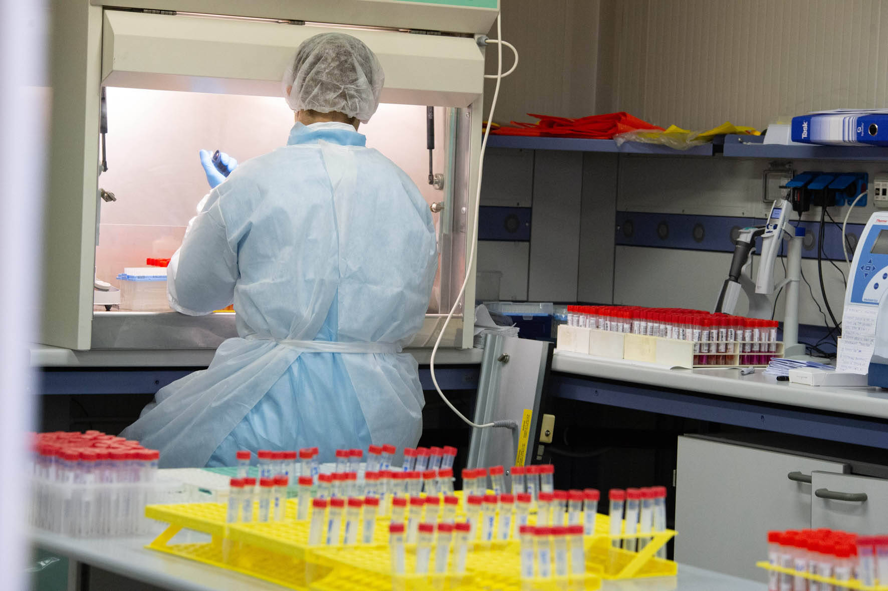 Immagine: FugattiFEM0611_017_low.jpg Licenza sconosciuta