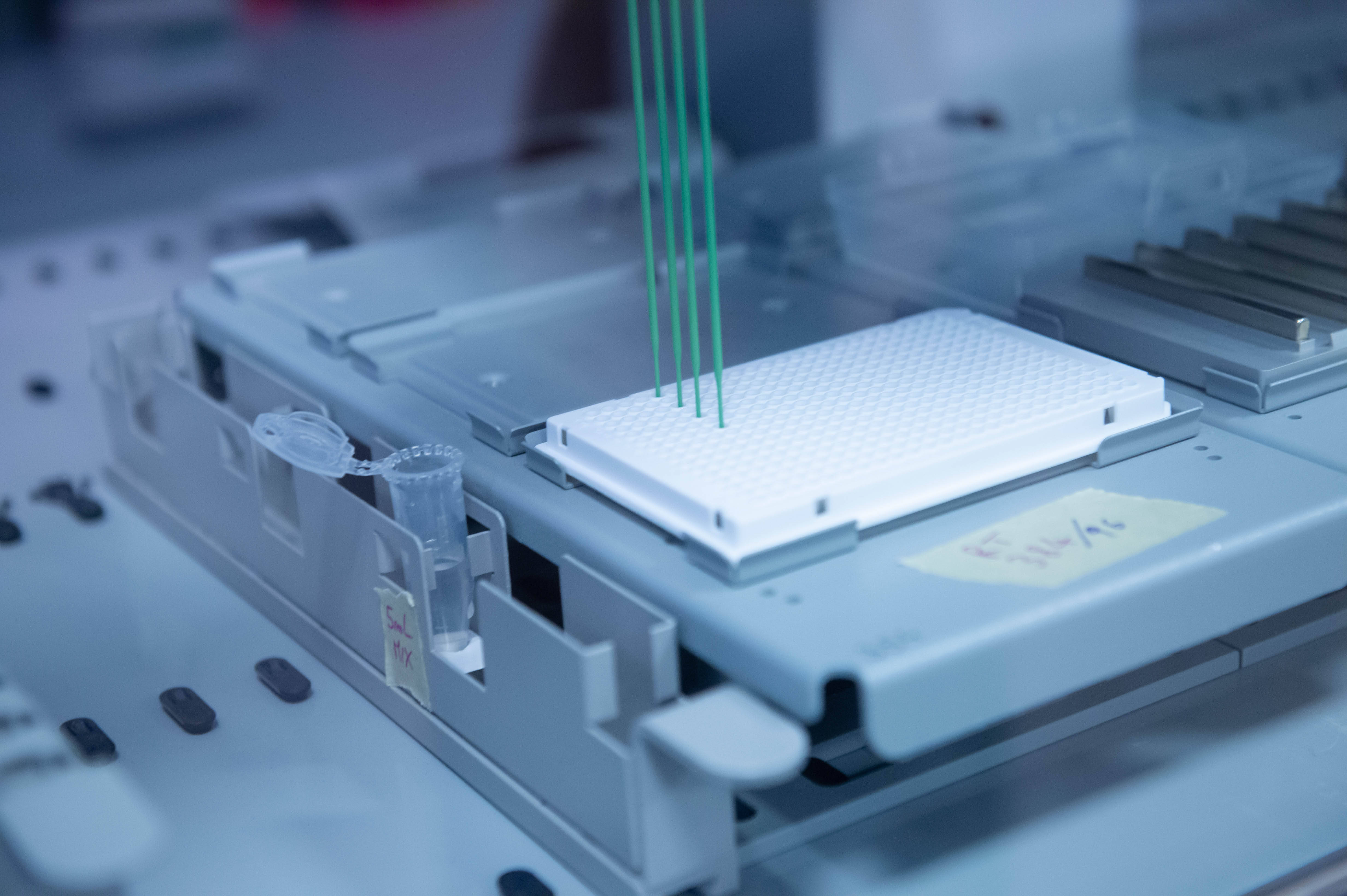 Immagine: FugattiFEM0611_041.JPG Licenza sconosciuta