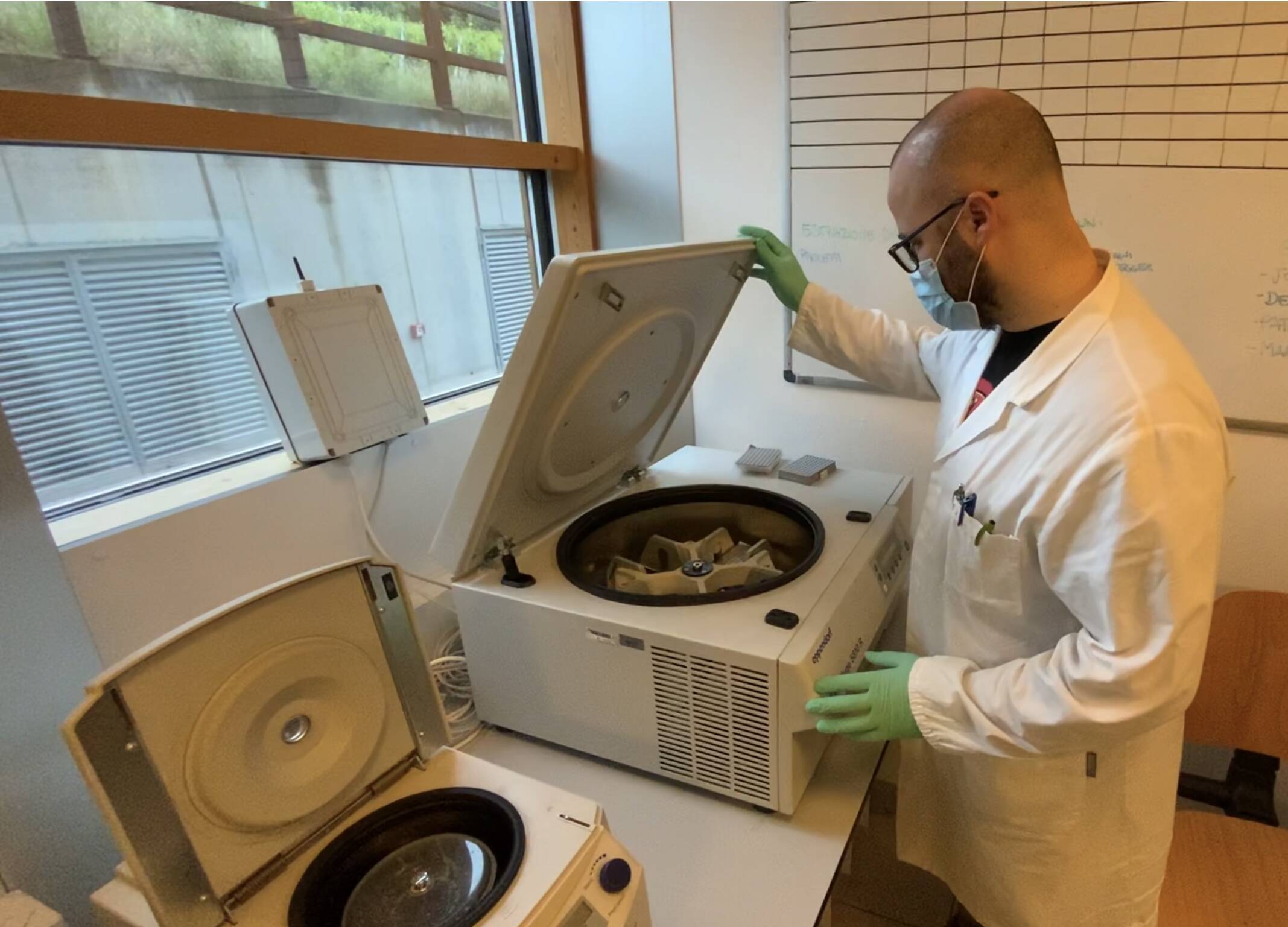 Immagine: 6AA70300-3AB1-4824-A372-F2BE3814E50F.jpeg Licenza sconosciuta