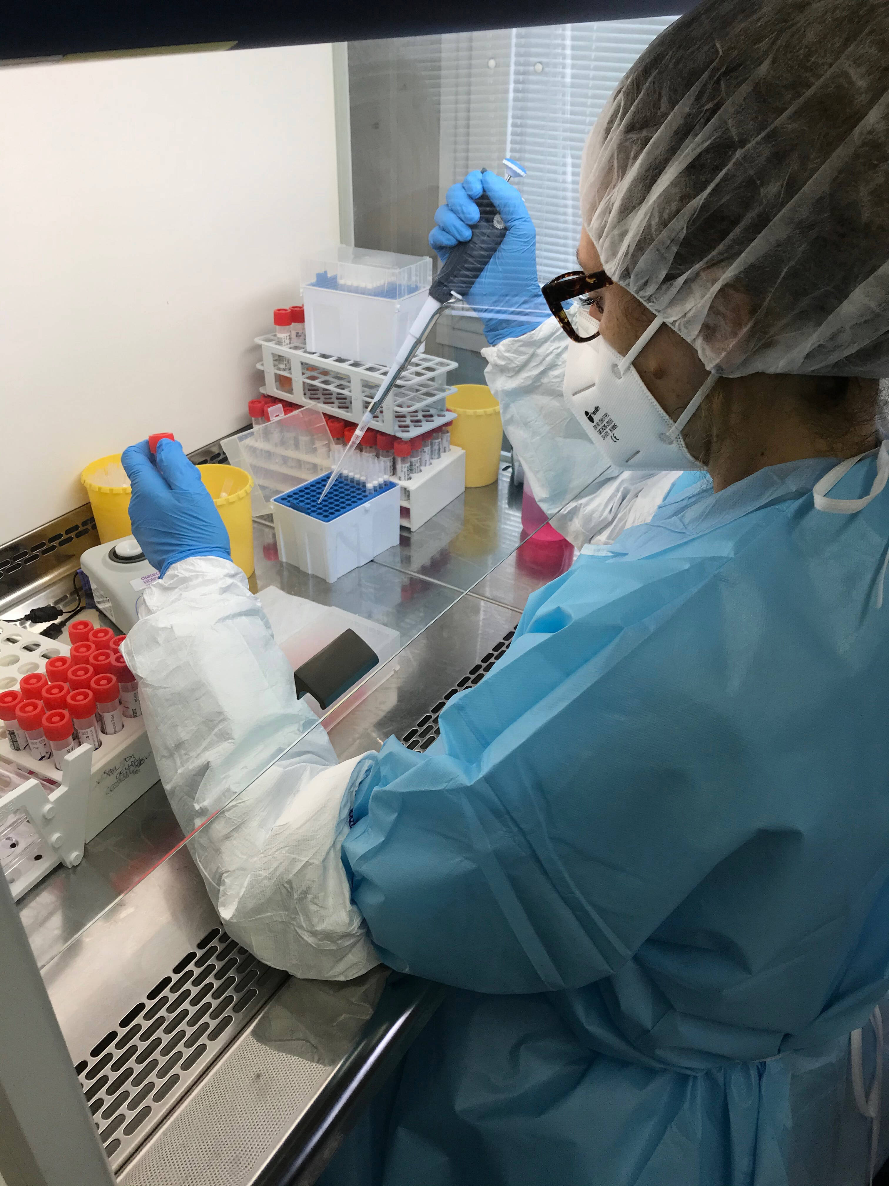 Immagine: Laboratori FEMC19FEM FF sotto cappa con tampone (1).jpg Licenza sconosciuta