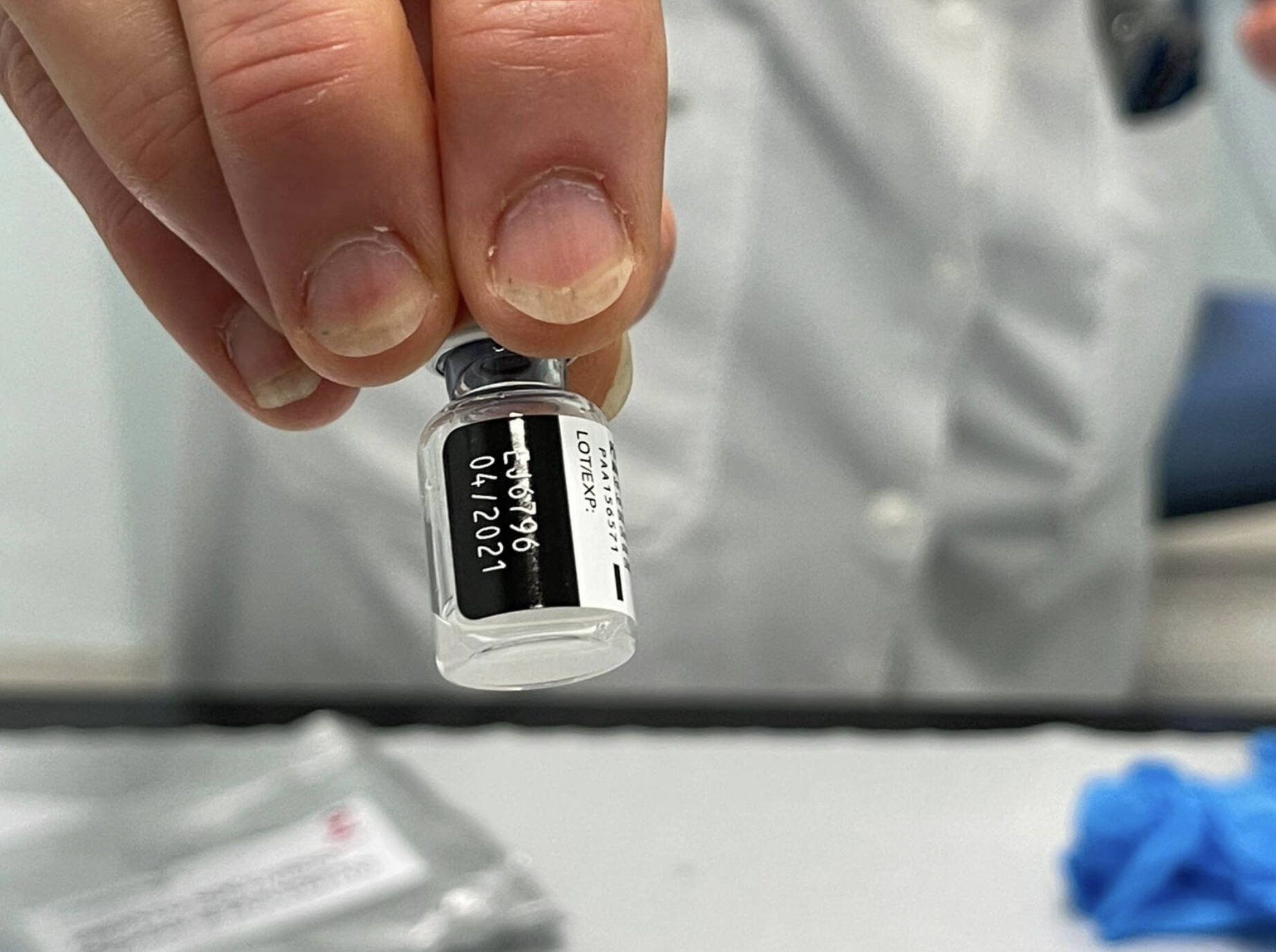 Immagine: A22BB1FF-8F22-44AE-AA96-83D079DB1475.jpeg Licenza sconosciuta