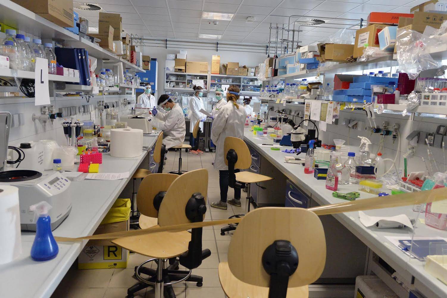 Immagine: 496EA49A-315D-46D9-9FEB-6C6332FE17D2.jpeg Licenza sconosciuta