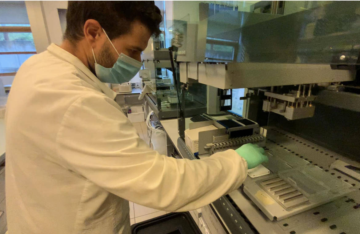 Immagine: 12FBFF1F-2AC4-4D54-A174-54F0961CFDBD_imagefullwide (3).jpg Licenza sconosciuta