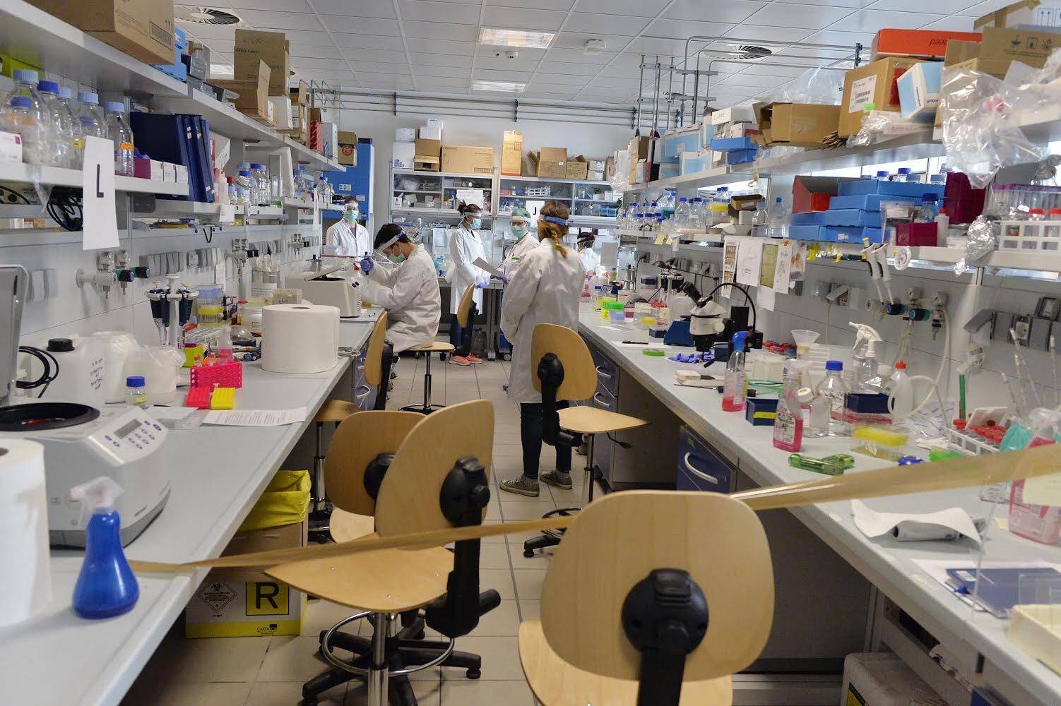 Immagine: IMG-2854.JPG Licenza sconosciuta