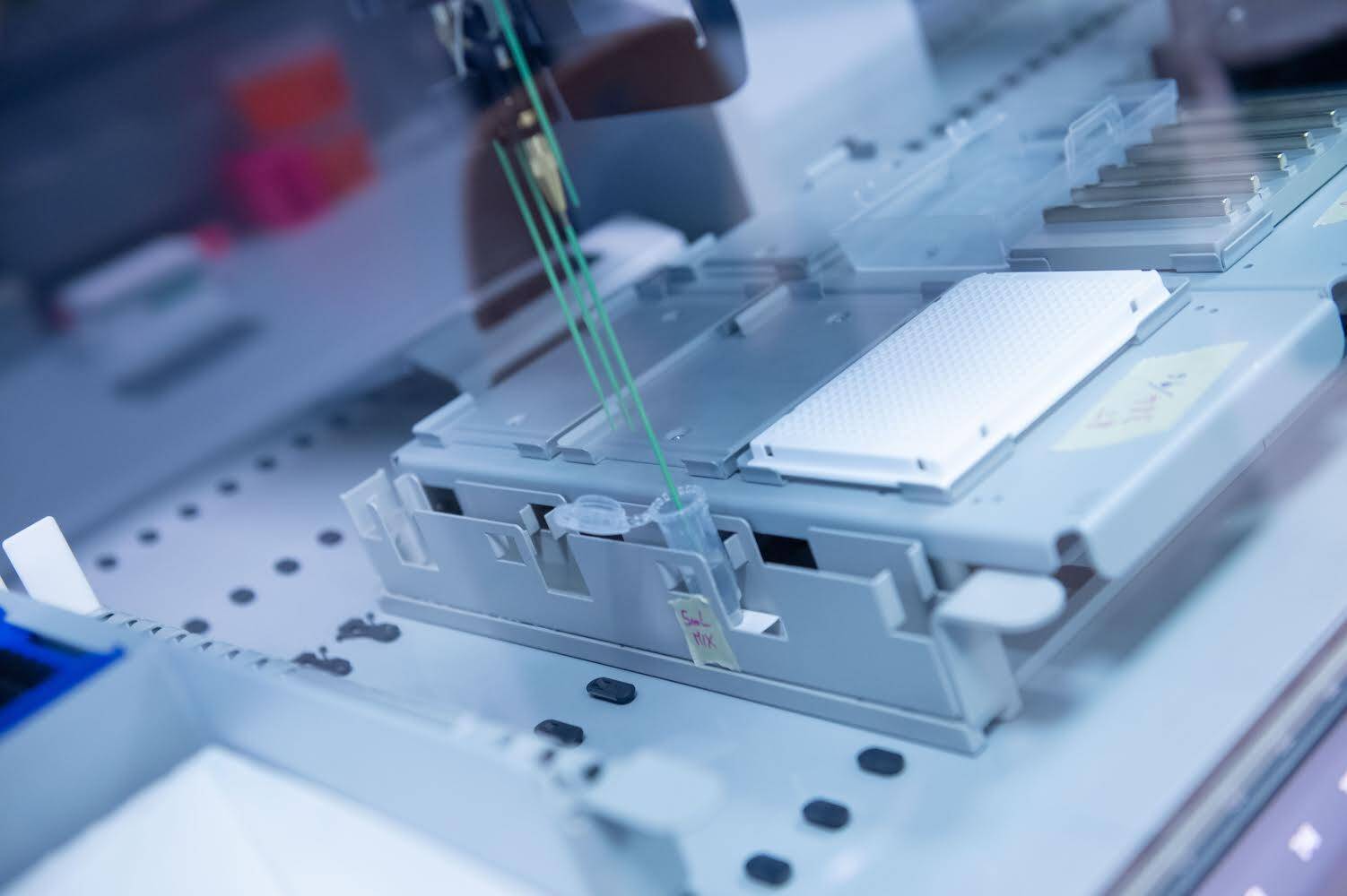 Immagine: 5F58DB68-603C-4919-ABF6-E00BDEF5917D.jpeg Licenza sconosciuta