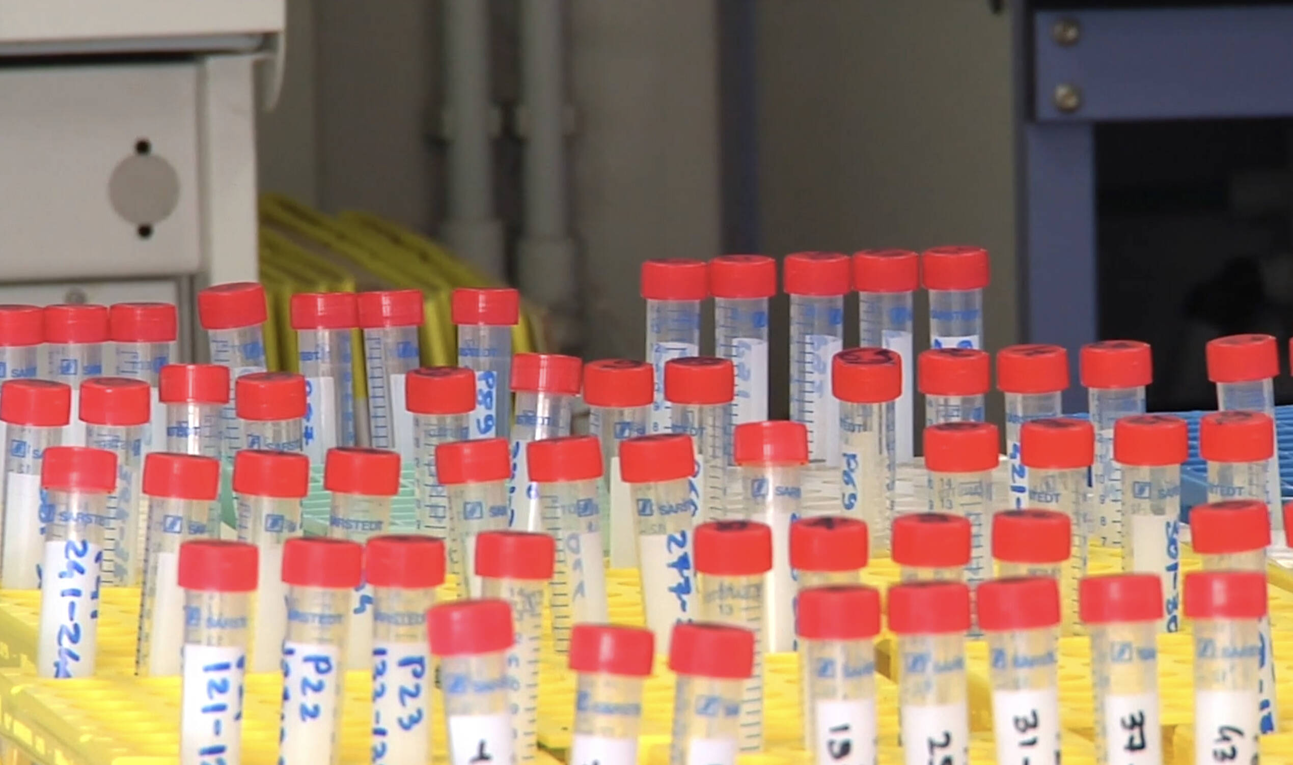 Immagine: 1F7C00FE-FC36-4914-B6F2-F61446391FF7.jpeg Creative Commons Attributon–ShareAlike 4.0 International (CC BY-SA 4.0)