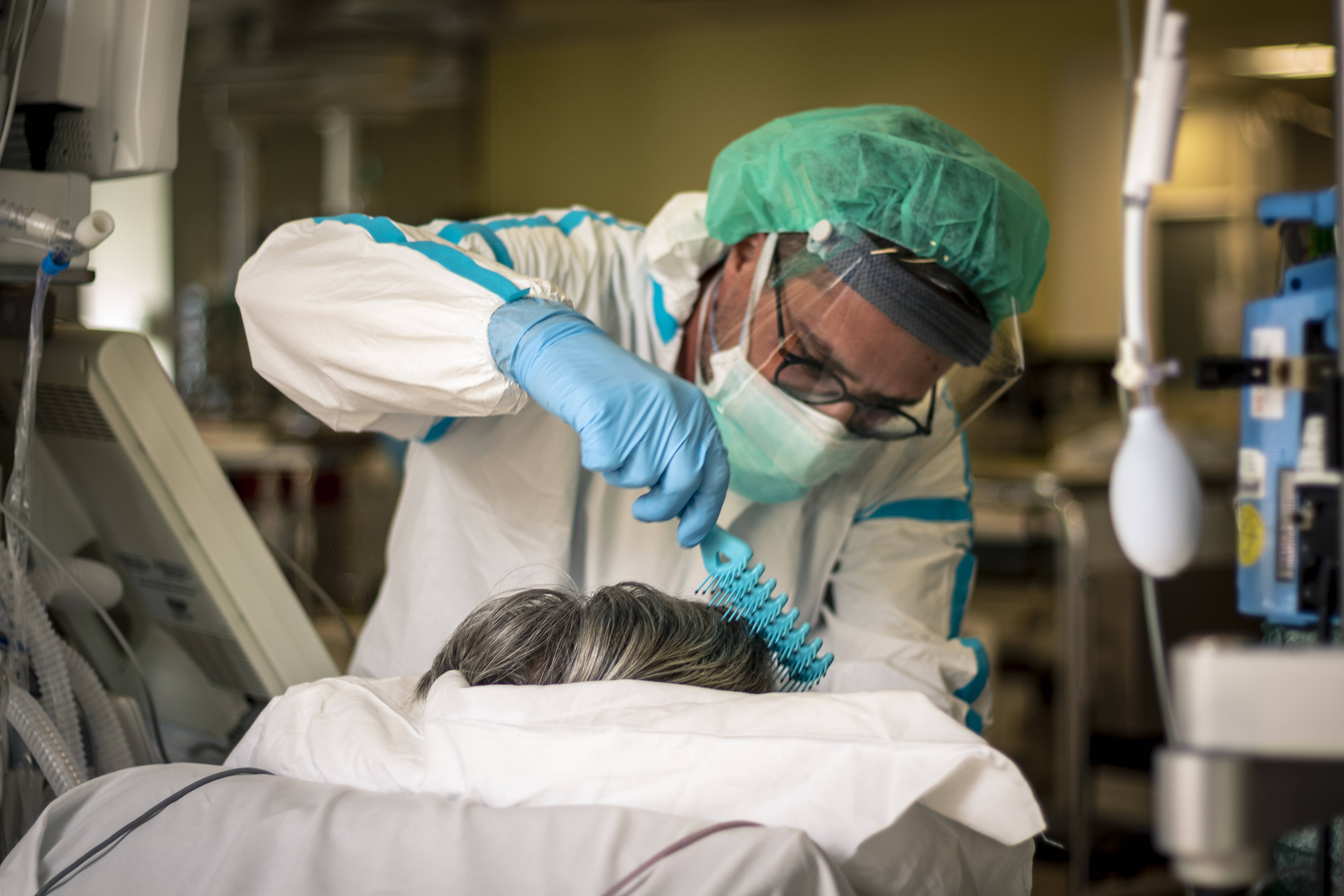 Immagine: Falco_P_ (42 di 64).jpg Licenza sconosciuta