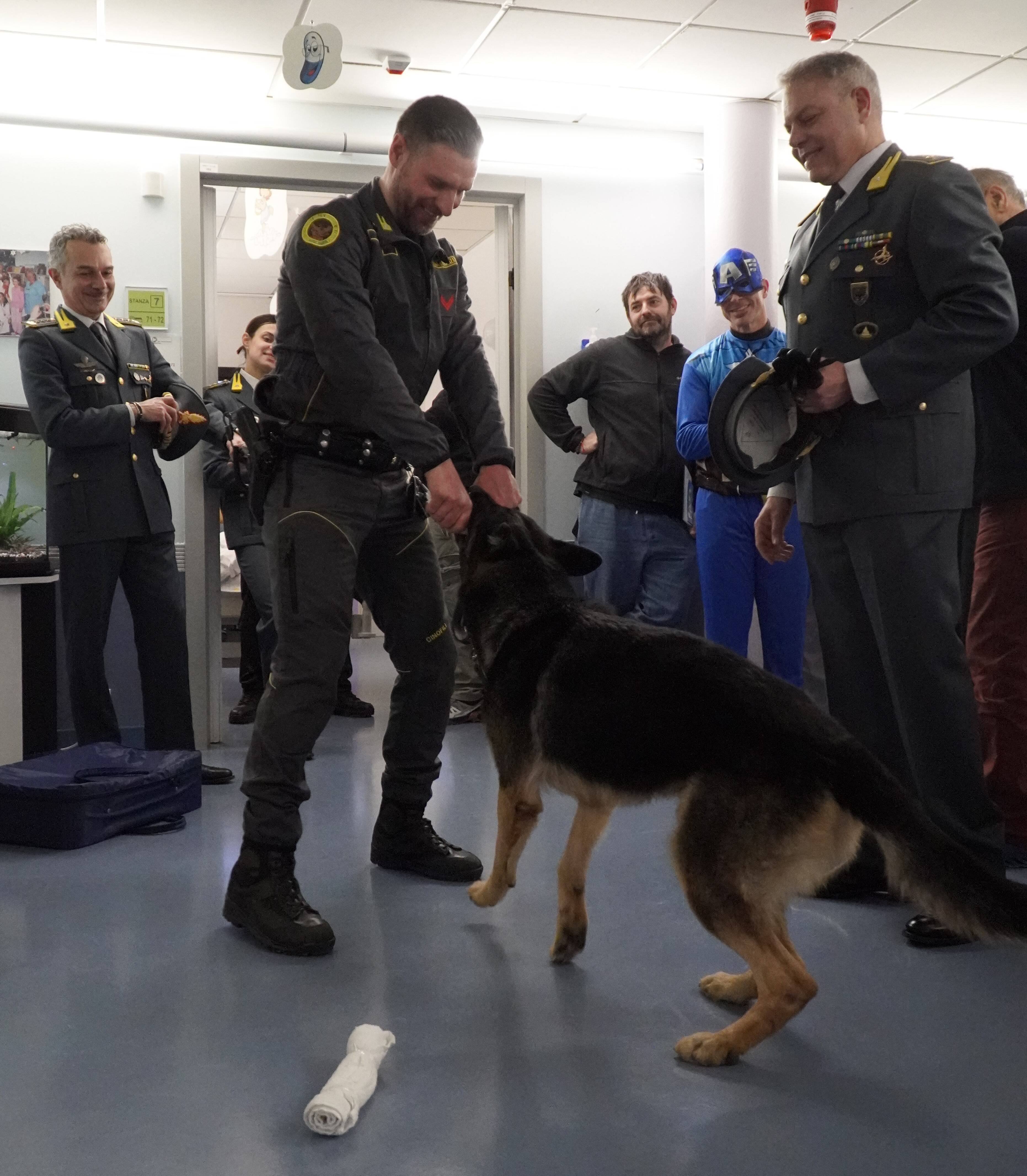 Immagine: _DSC0784.JPG Creative Commons Attributon–ShareAlike 4.0 International (CC BY-SA 4.0)