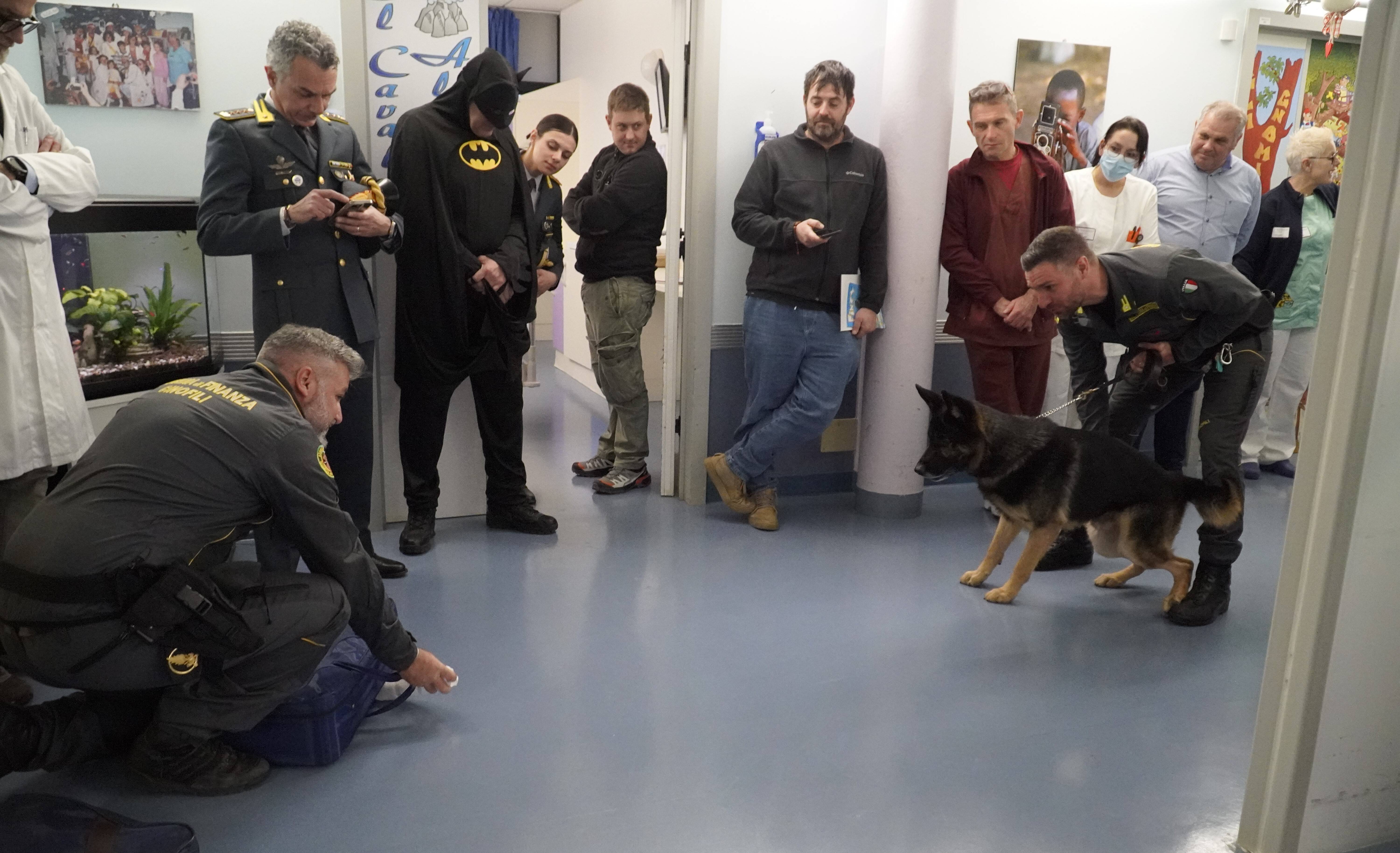 Immagine: _DSC0770.JPG Creative Commons Attributon–ShareAlike 4.0 International (CC BY-SA 4.0)